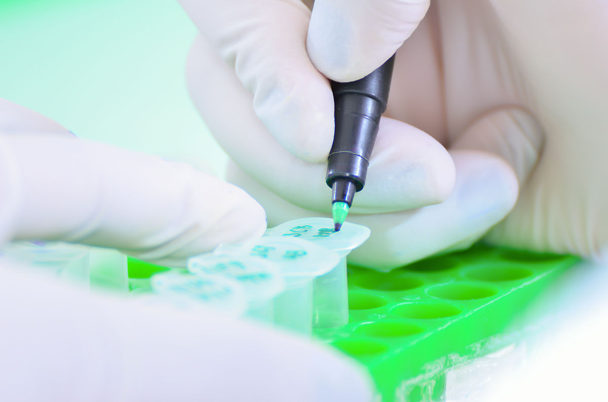 本科毕业论文致谢的金句