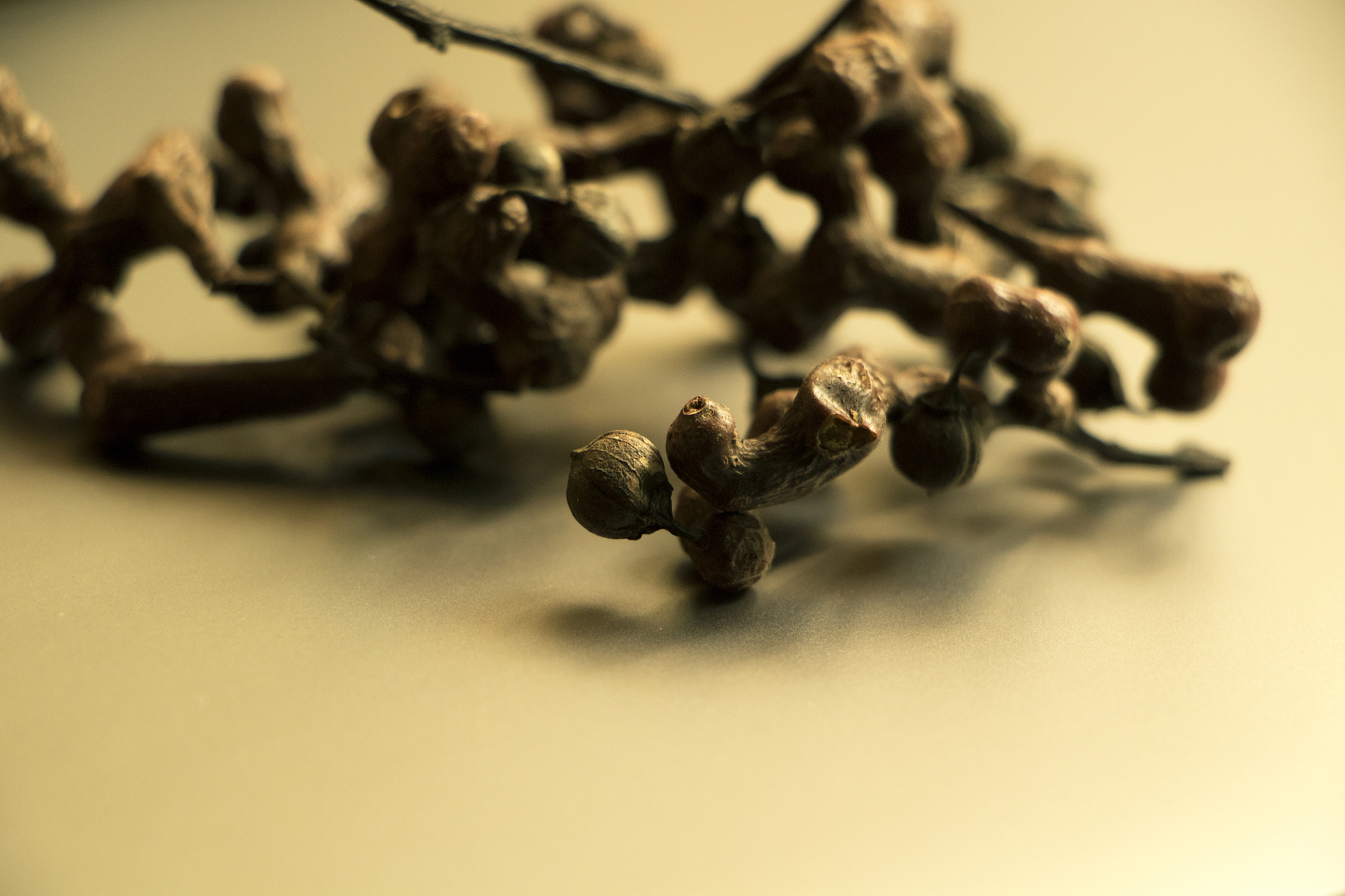 降血糖胶囊脚本：饮食、运动和中药辅助