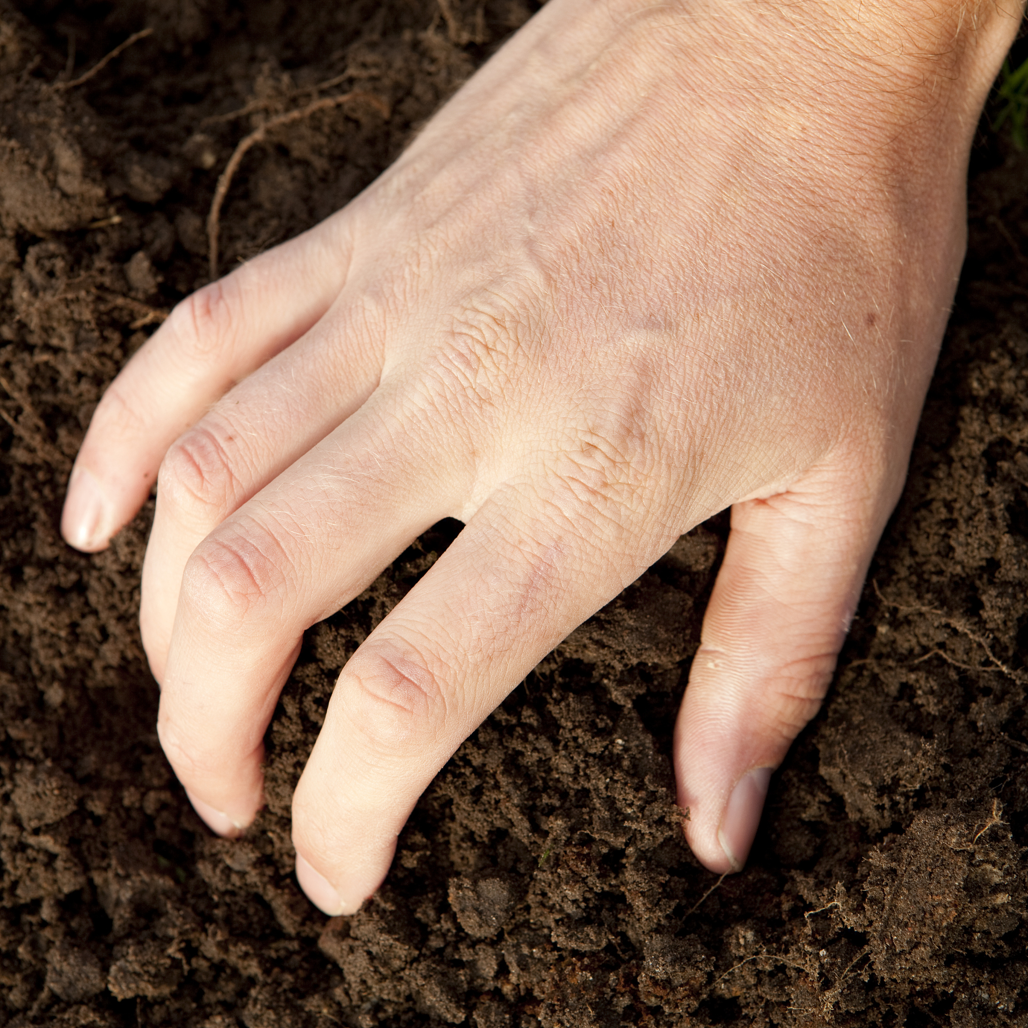 手长茧子原因：为什么会出现茧子？