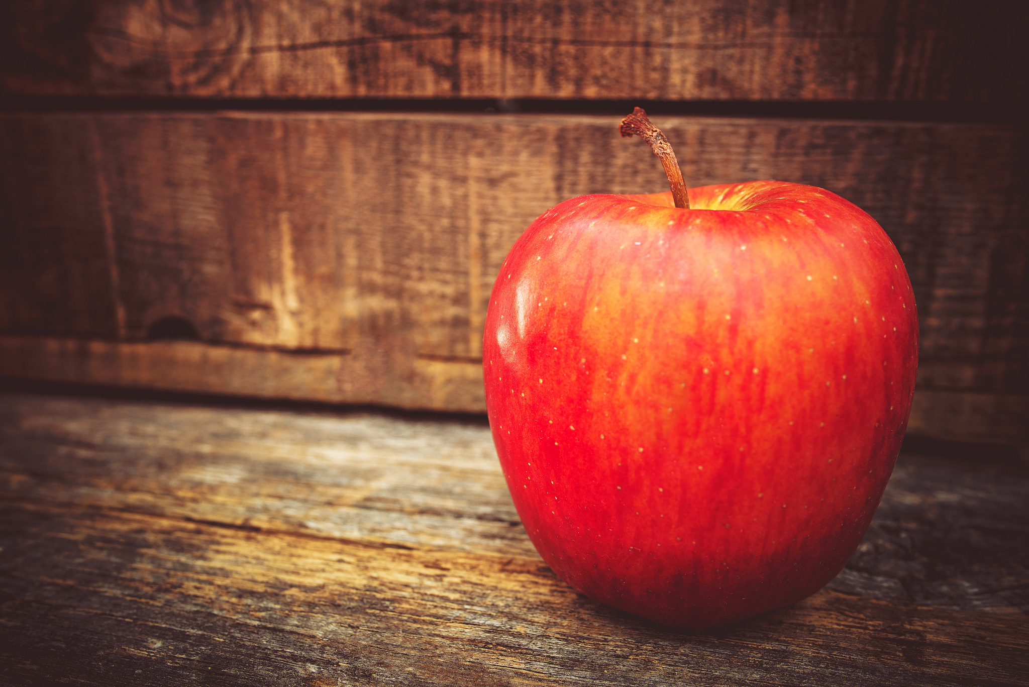 tasteful red apple