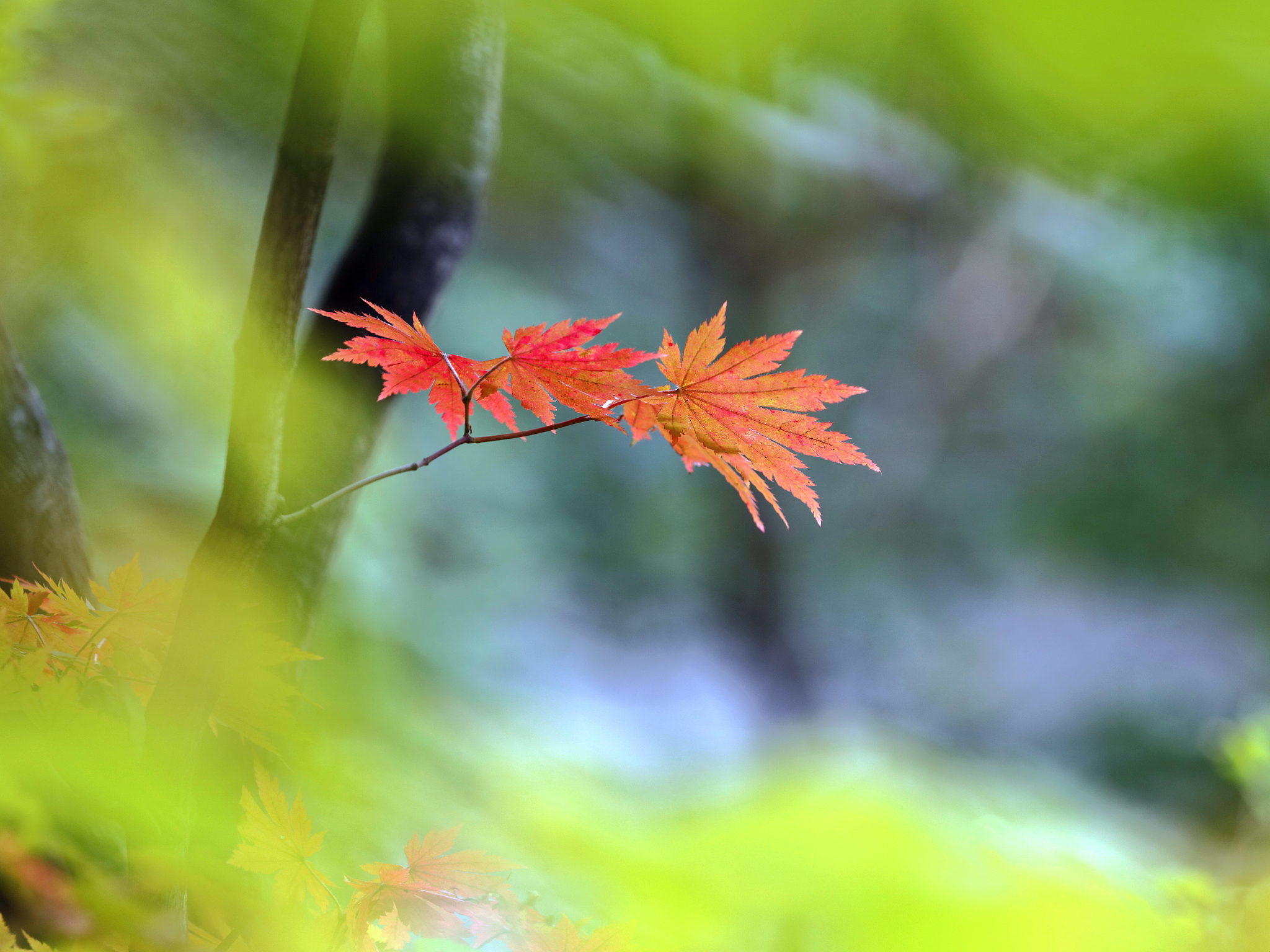 给我做首秋天的诗