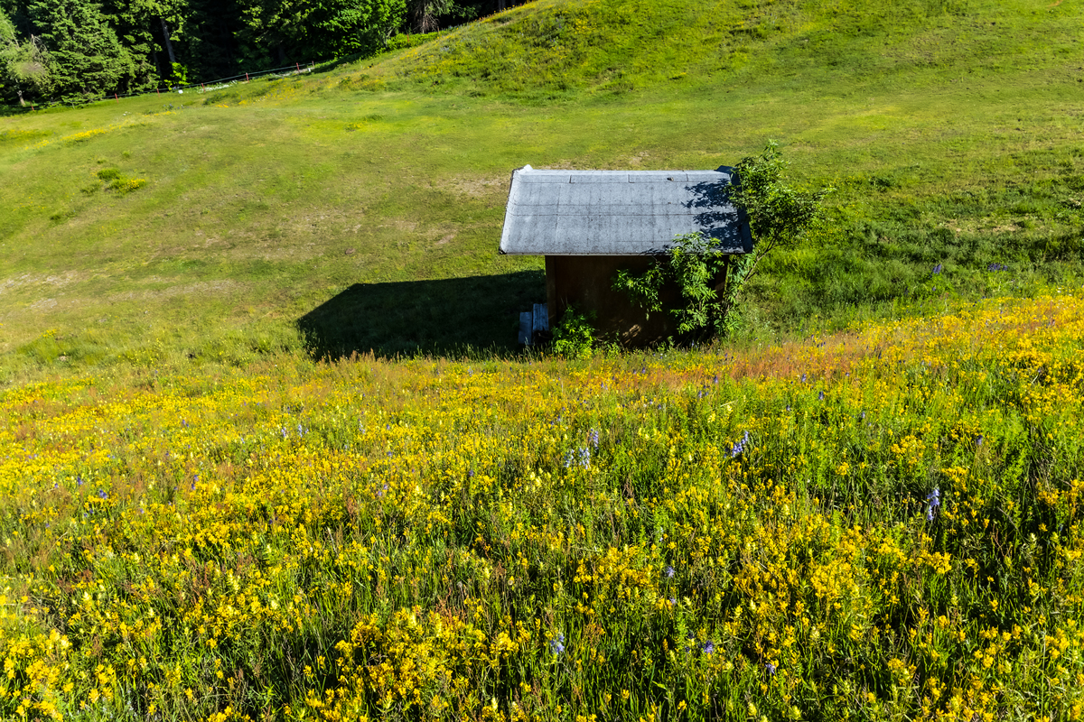 小屋烟囱上的美丽风景：300字描写