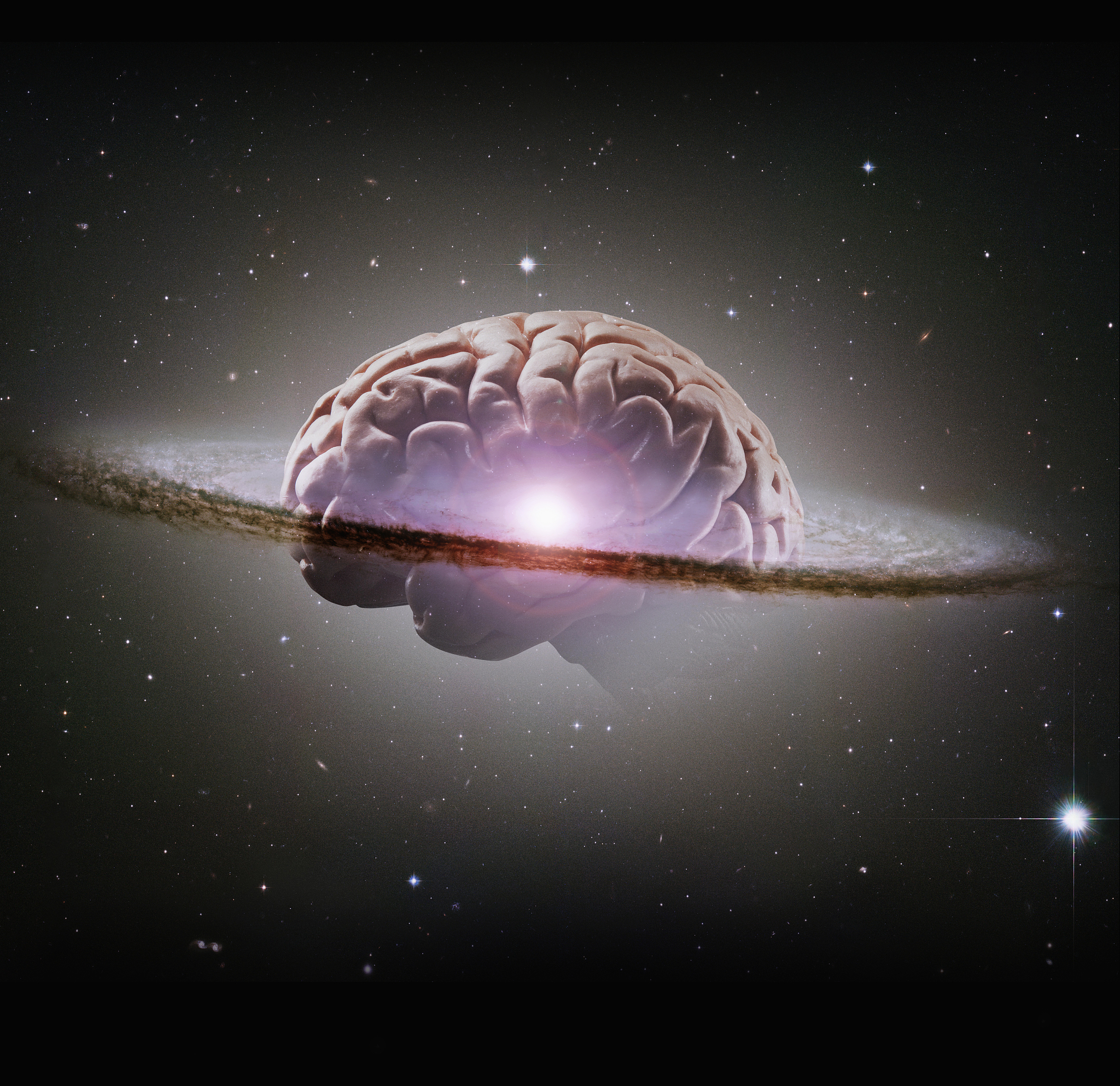 微观世界观后感：对生命和宇宙的全新认识