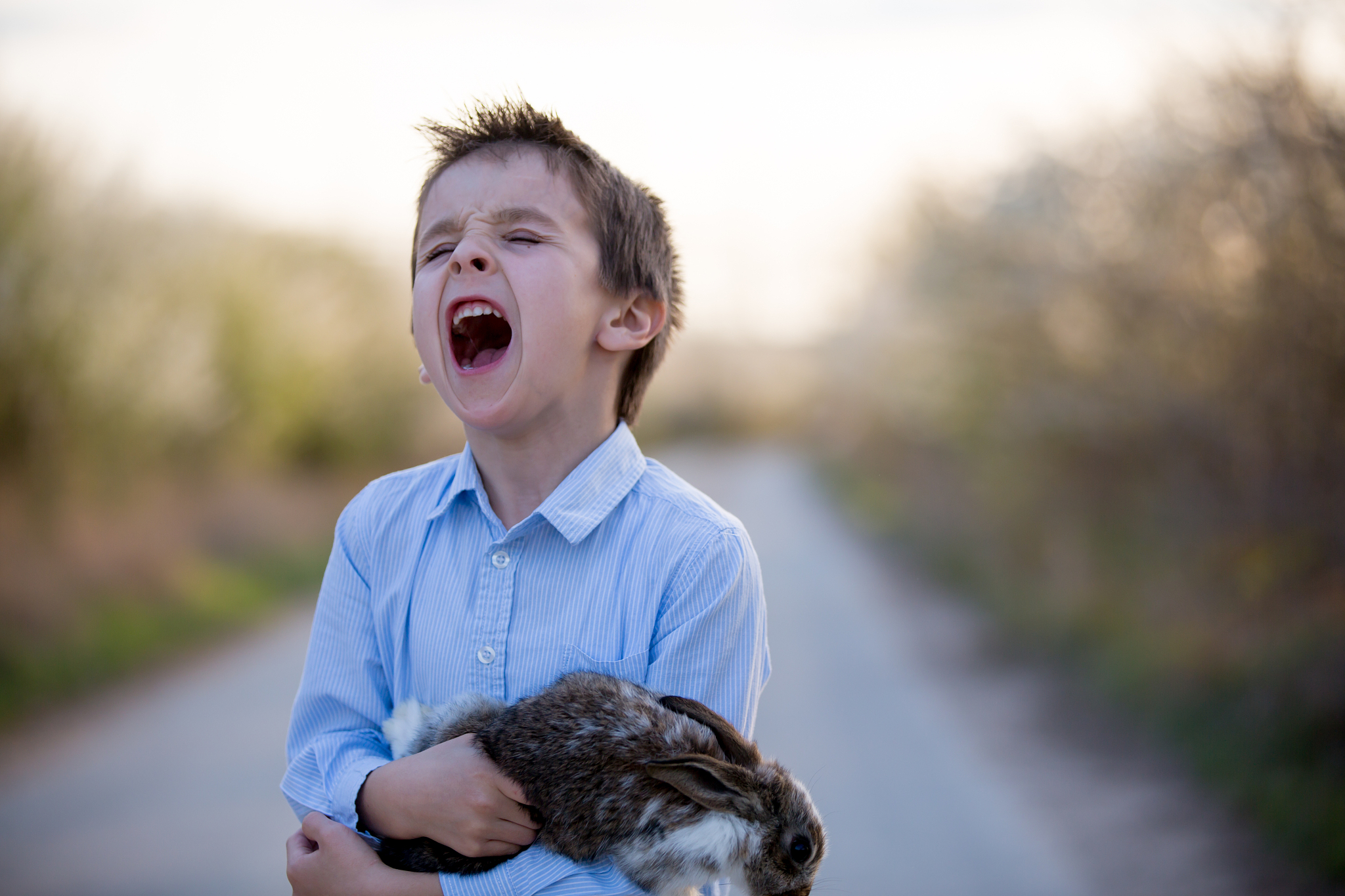 preschool child, cute boy, playing with little rabbit outdoors