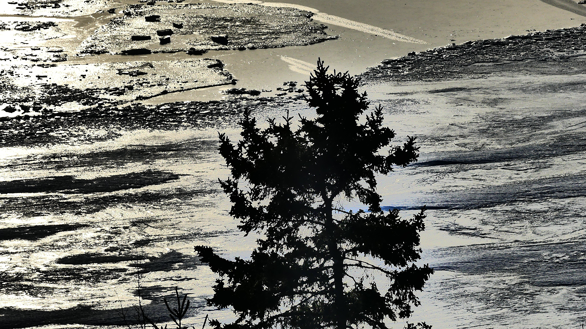 翻译：重彩山水画中的黑、白并不仅仅是指黑和白两种颜色也包括了画面整体中明度极深和极浅的颜色形成了一个互相映衬的共生体画面中黑白关系布置的是否得当对于画面的节奏而言具有重要意义。该作品中黑色填充了几乎所有画面的空白之处来衬托出主要刻画的的房屋船舶等并在整体是暗色的一些画面中大面积使用了黑色作为衬托增强对比度。其他的一些元素如树叶、电线杆等也都作为黑色来衬托视觉中心从而进一步丰富画面。合并画面中的黑白