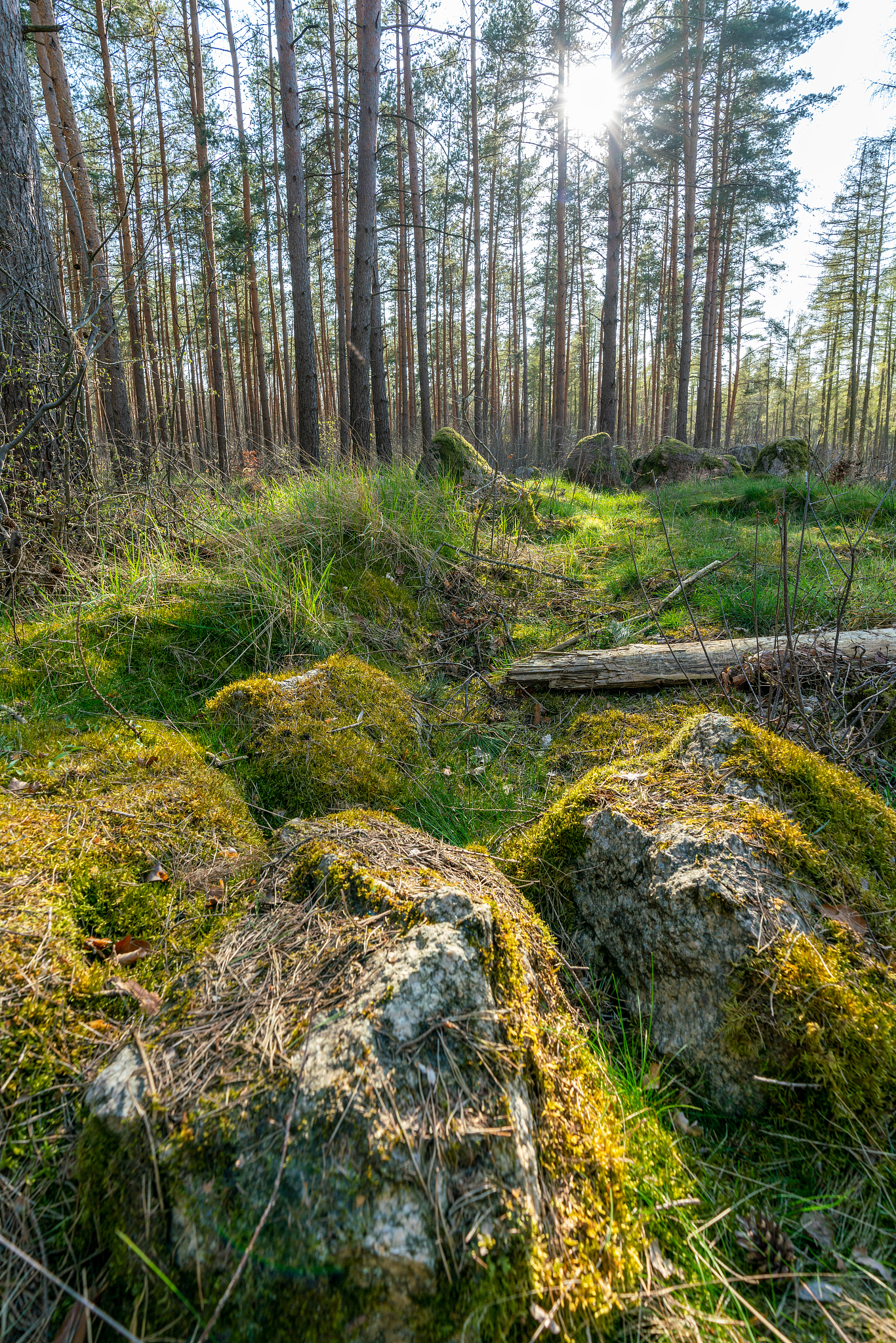 prehistoric megalith stones near haldensleben in germany