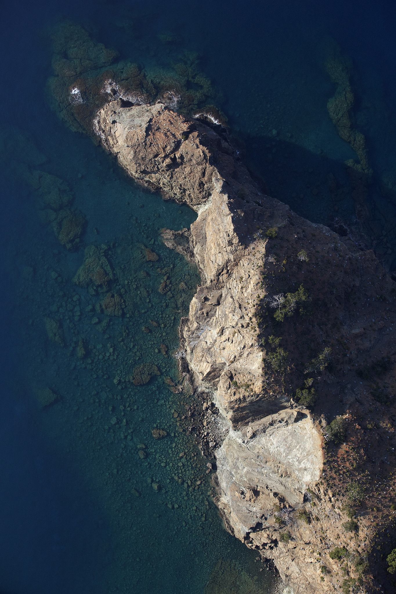 Soil Salinization and Heavy Metal Pollution in Asparagus Growing Areas of Chongming Island, China