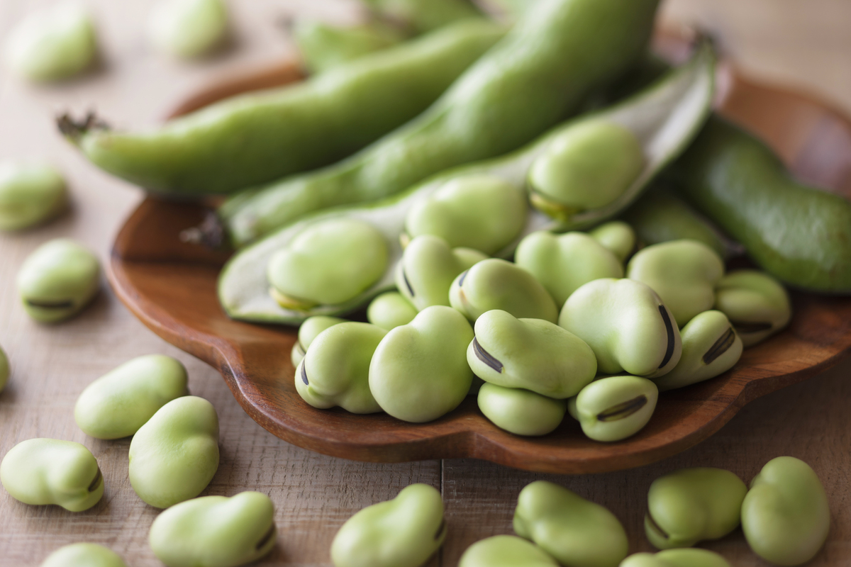 蚕豆炒出臭味的原因及解决方法