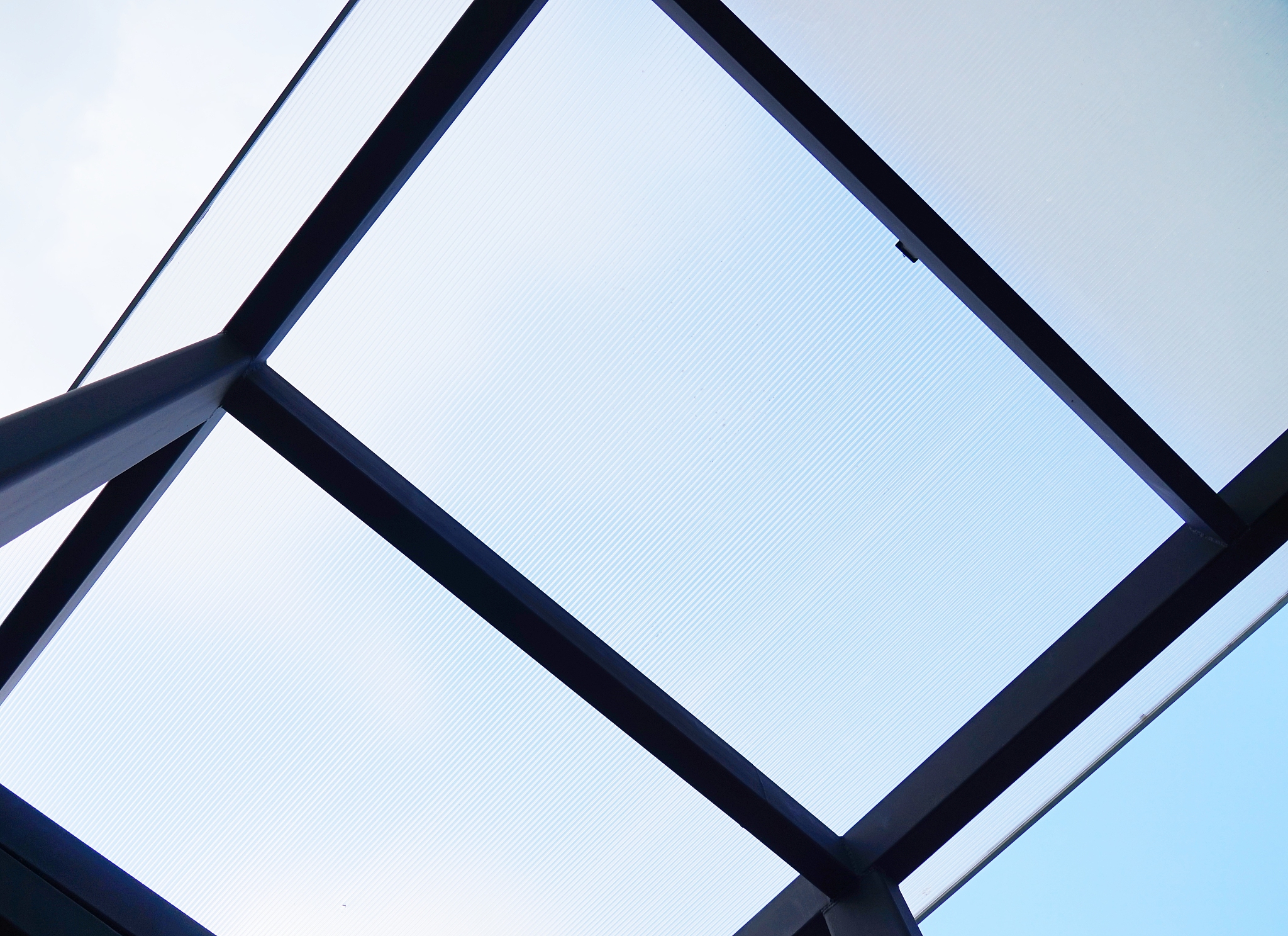 clear roof with light bulbs