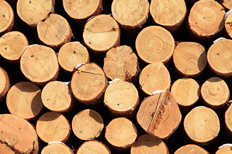 山西省林业技工学校2019年招生简章