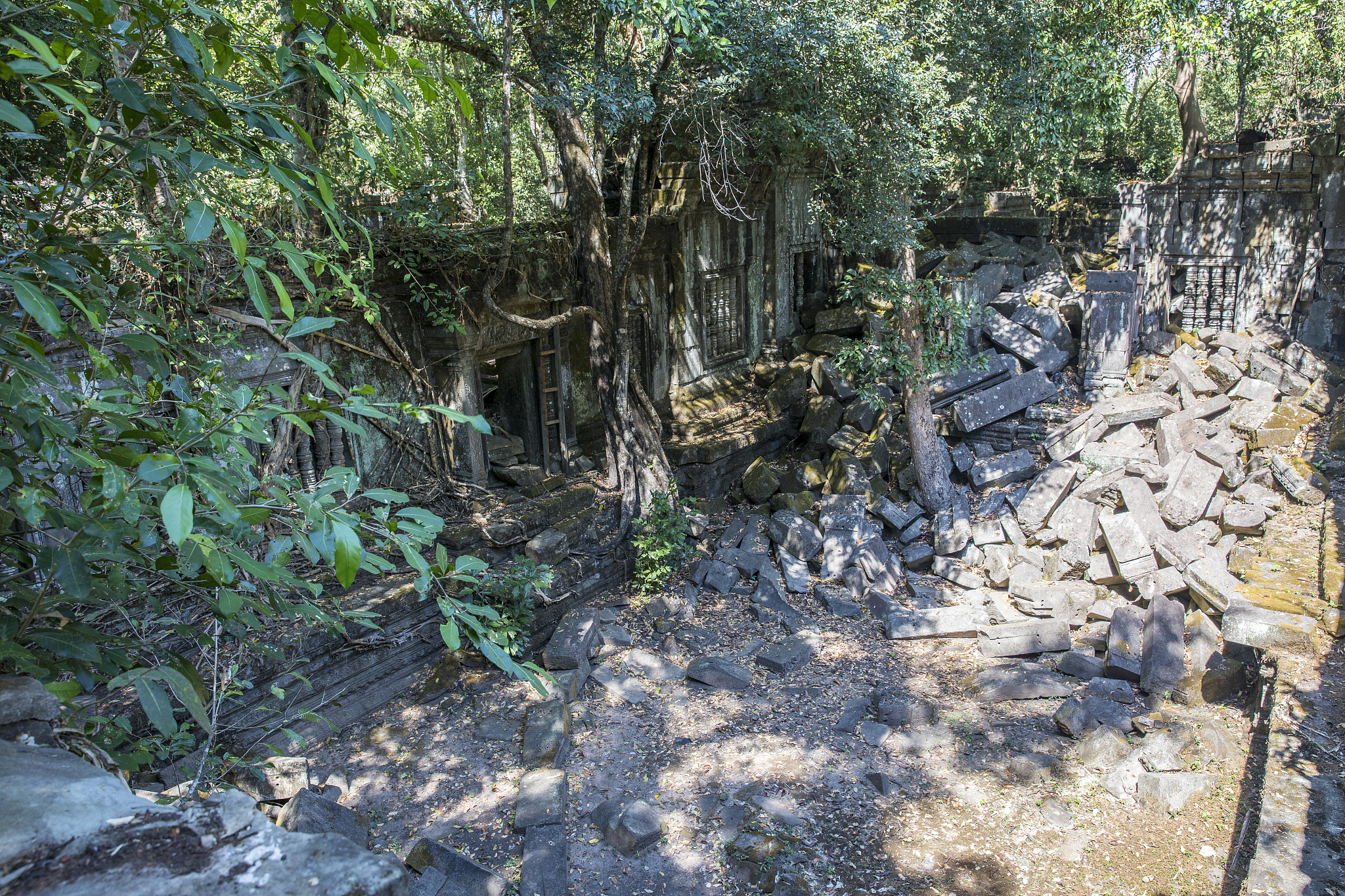普洱黄草坝是一个古地名吗帮我用200字详细描述