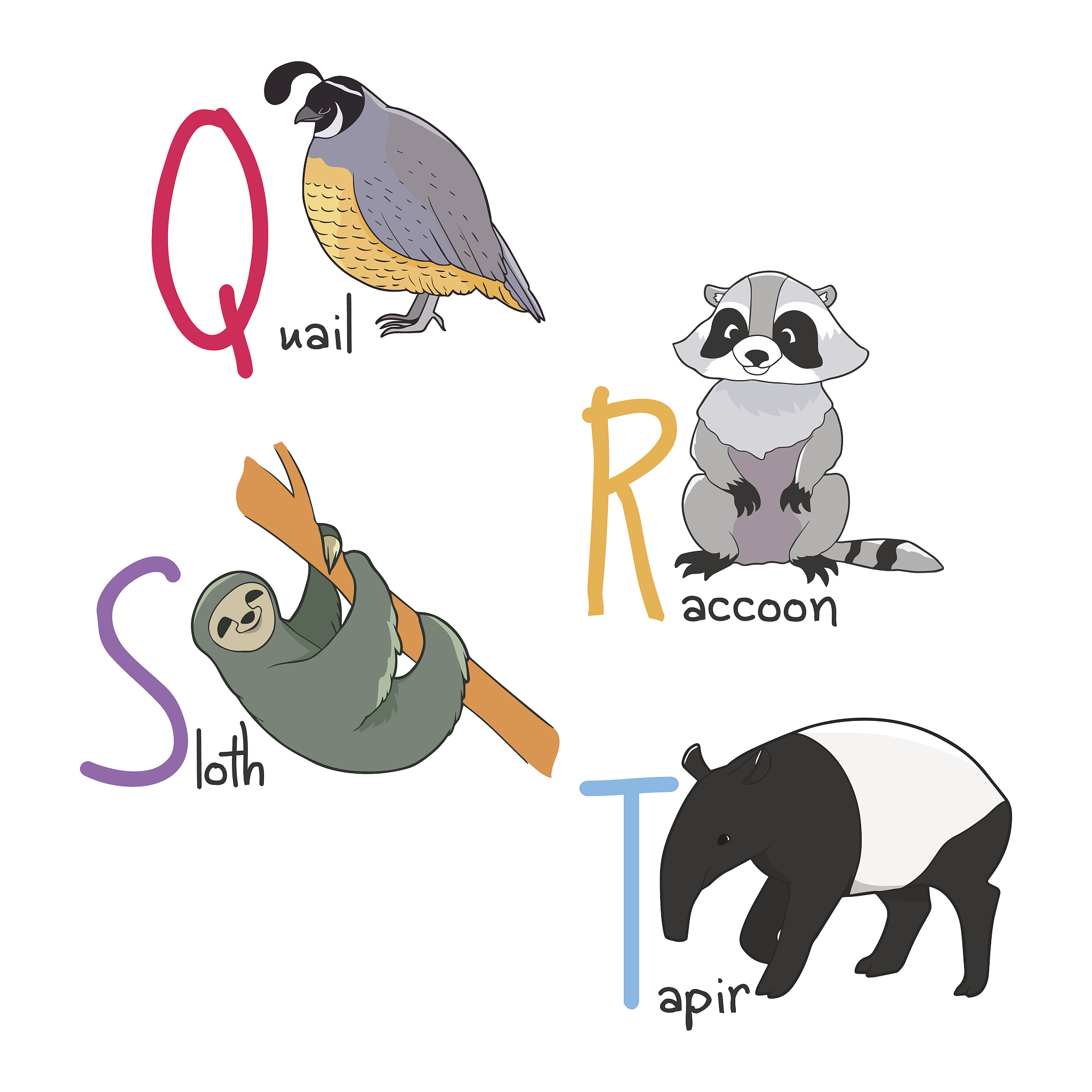 Animal Model Preparation for Medical Research - Rabbits and Rats