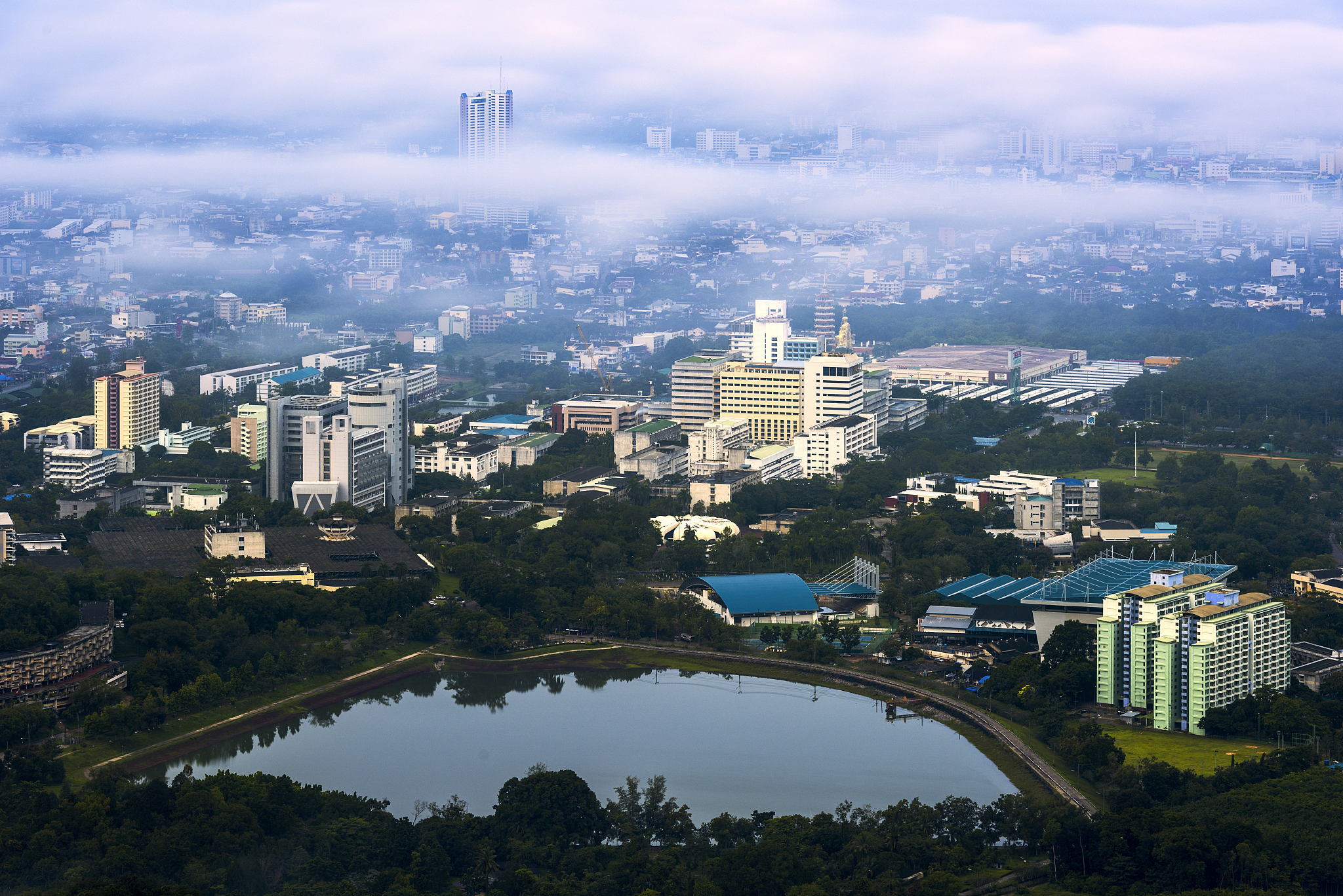 city in the mist