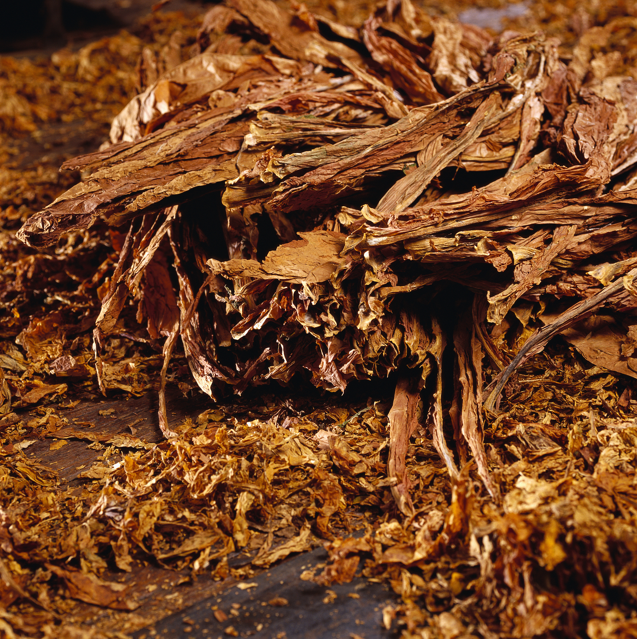 南通烟草证怎样快速升档