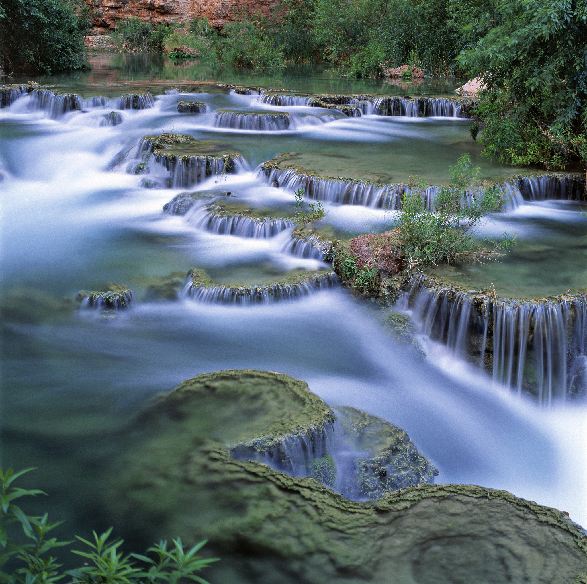 标题：美丽的五百滩 写一篇800字文小学作文