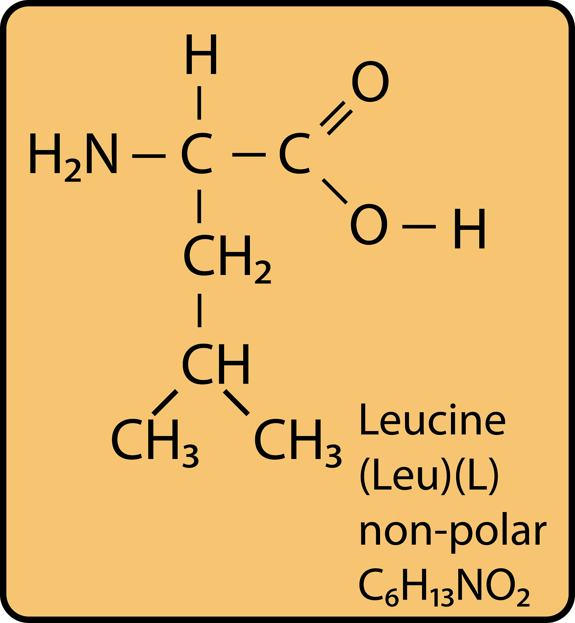 X射线吸收精细结构谱 (XAFS) 测试方法：原理、步骤及应用