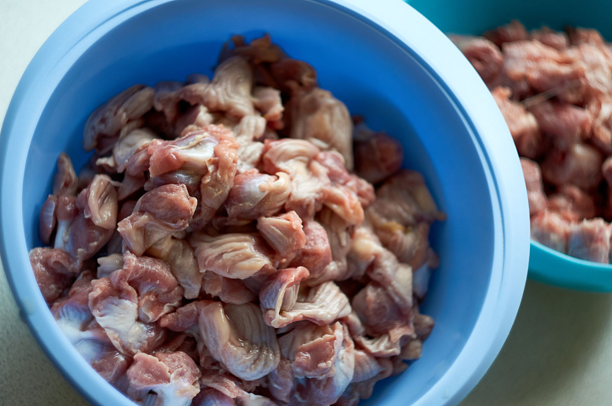 湖南食品药品职业学院2022开设了什么专业及什么专业好