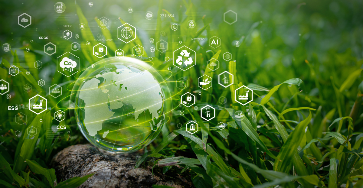 碳信息披露缓解企业融资约束路径研究：提升企业碳信息披露质量的现实意义