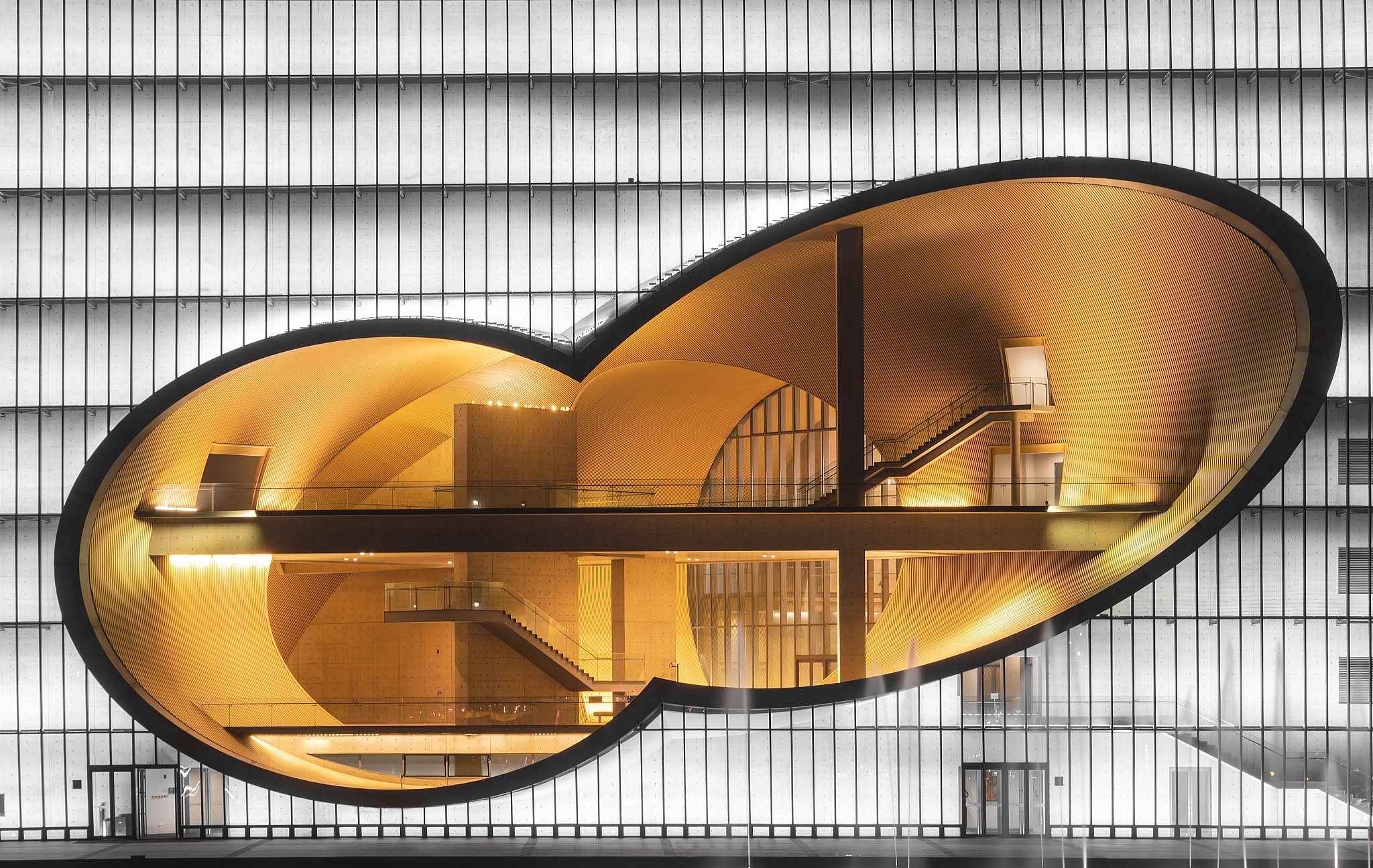 黄金比例：探秘自然与艺术中的完美和谐 (深度解析)