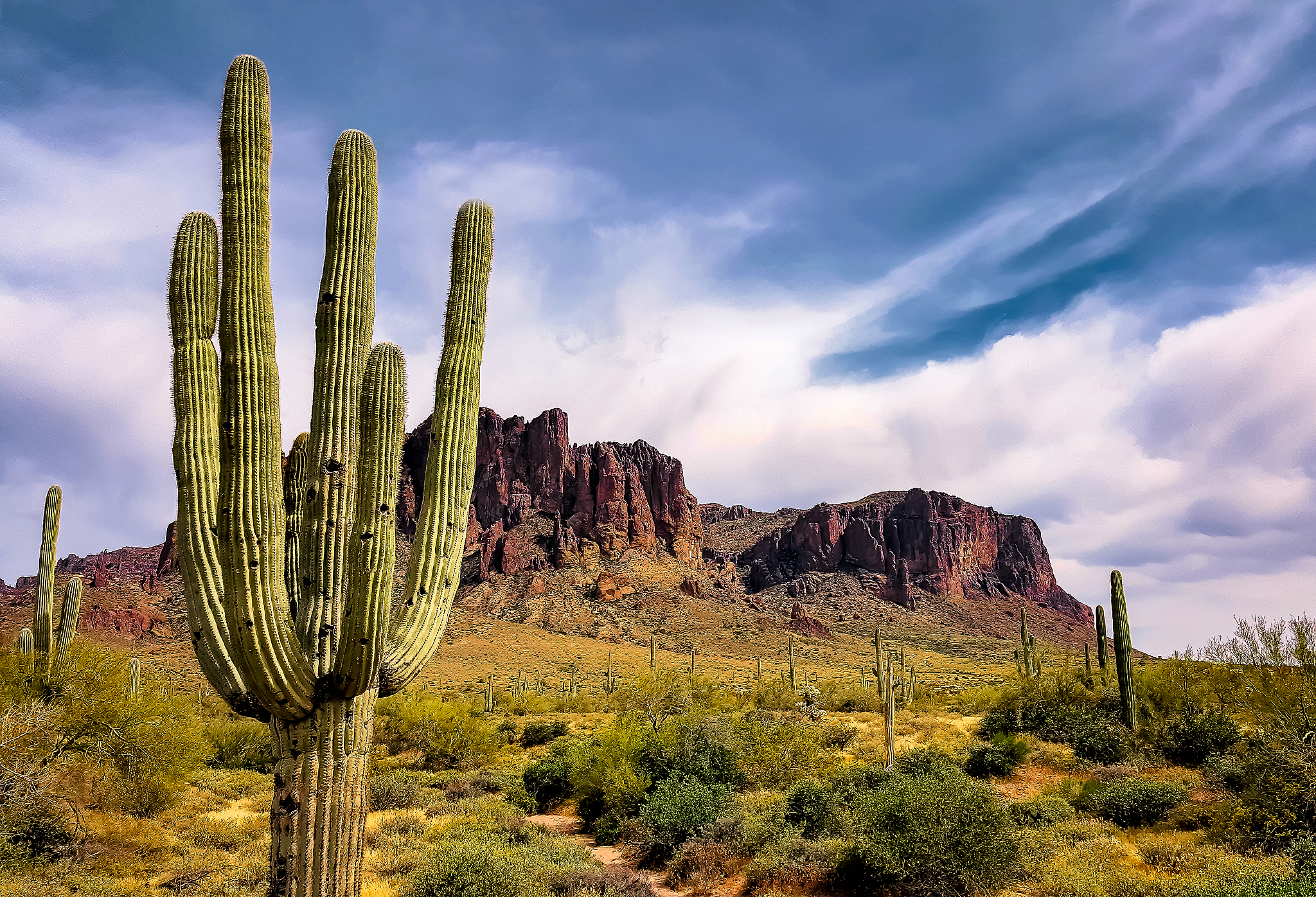 saguaro cactus by superstition mountains against cloudy sky