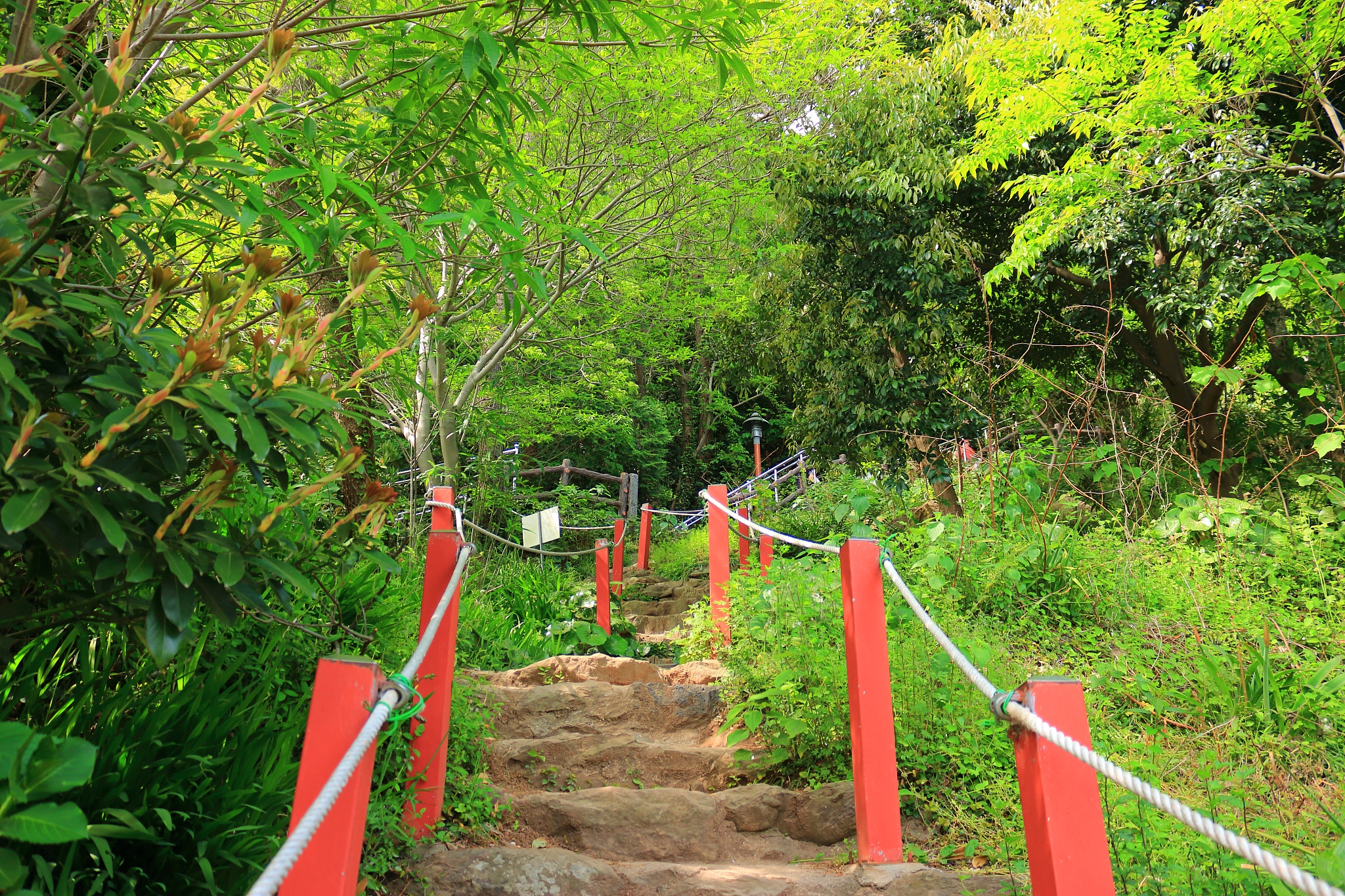 mountain mountain, temple, mountain gulsa,