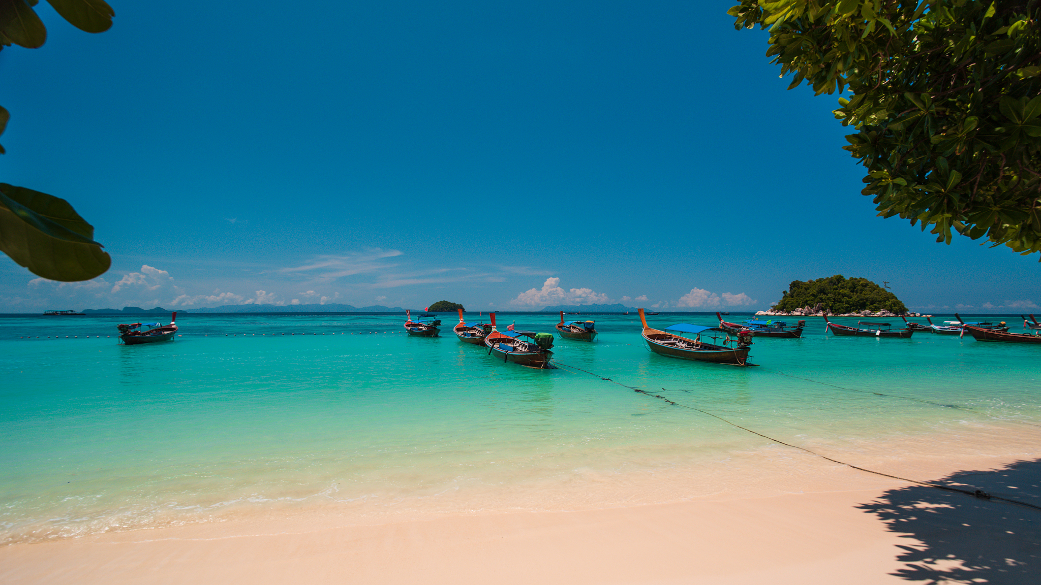 tropical beach