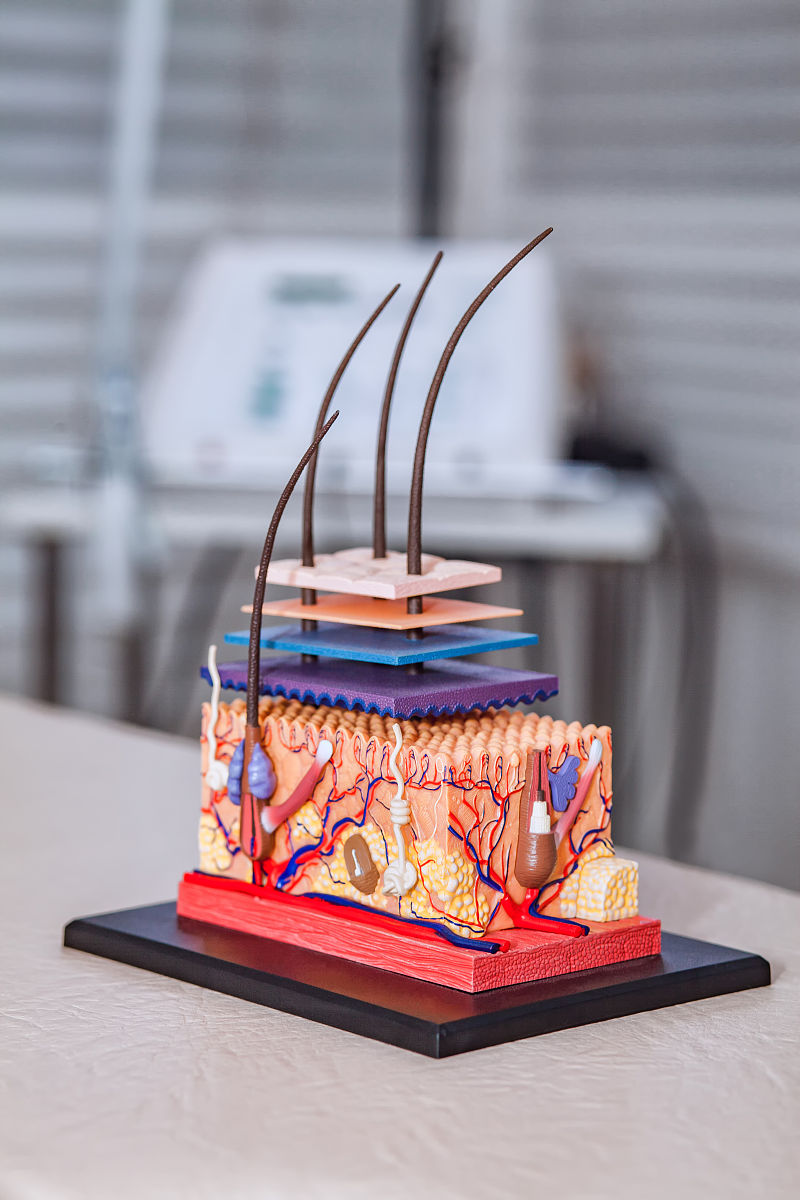 2023年云南骨伤科中等专业学校普通中专招生简章