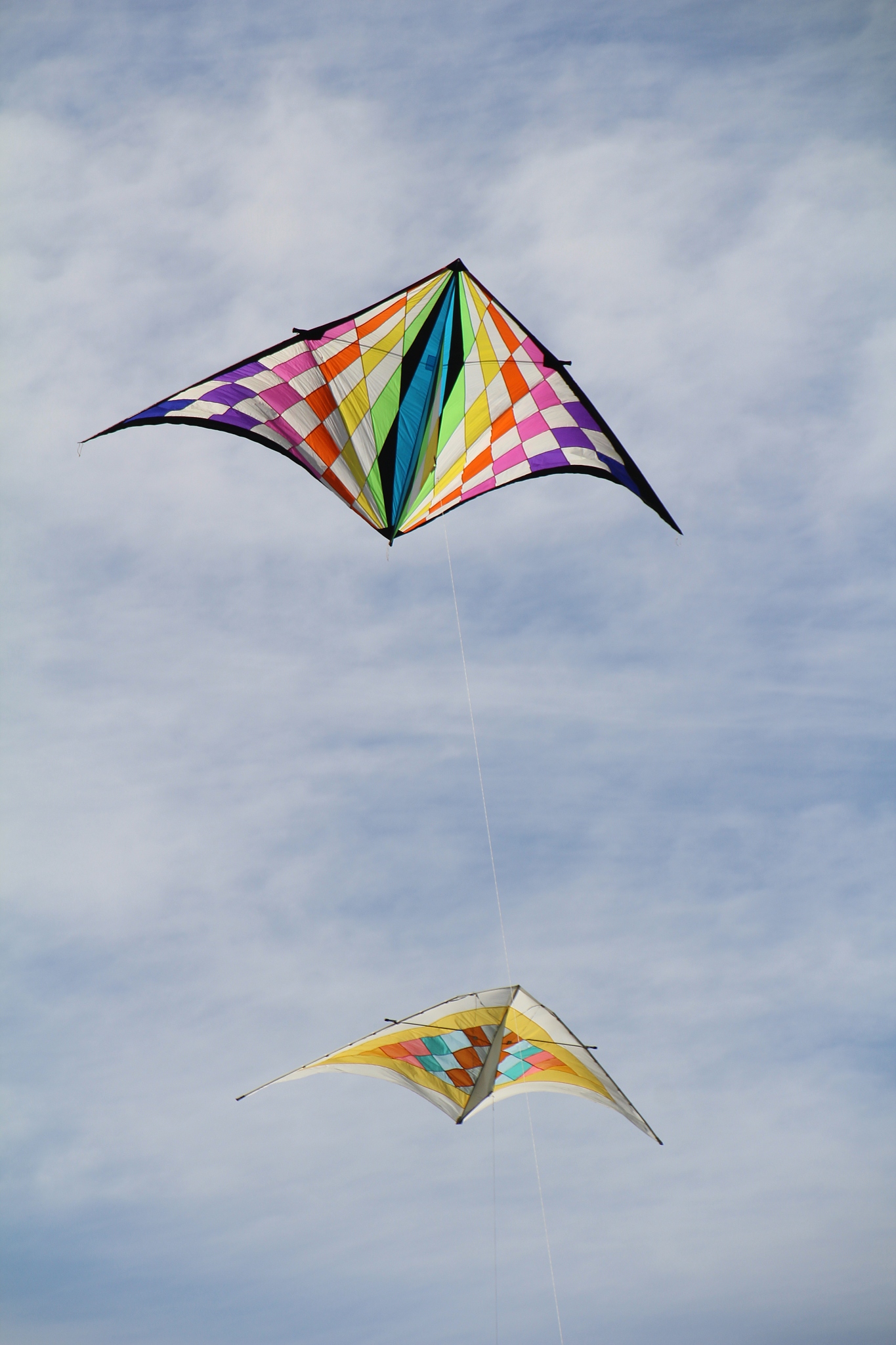 kites