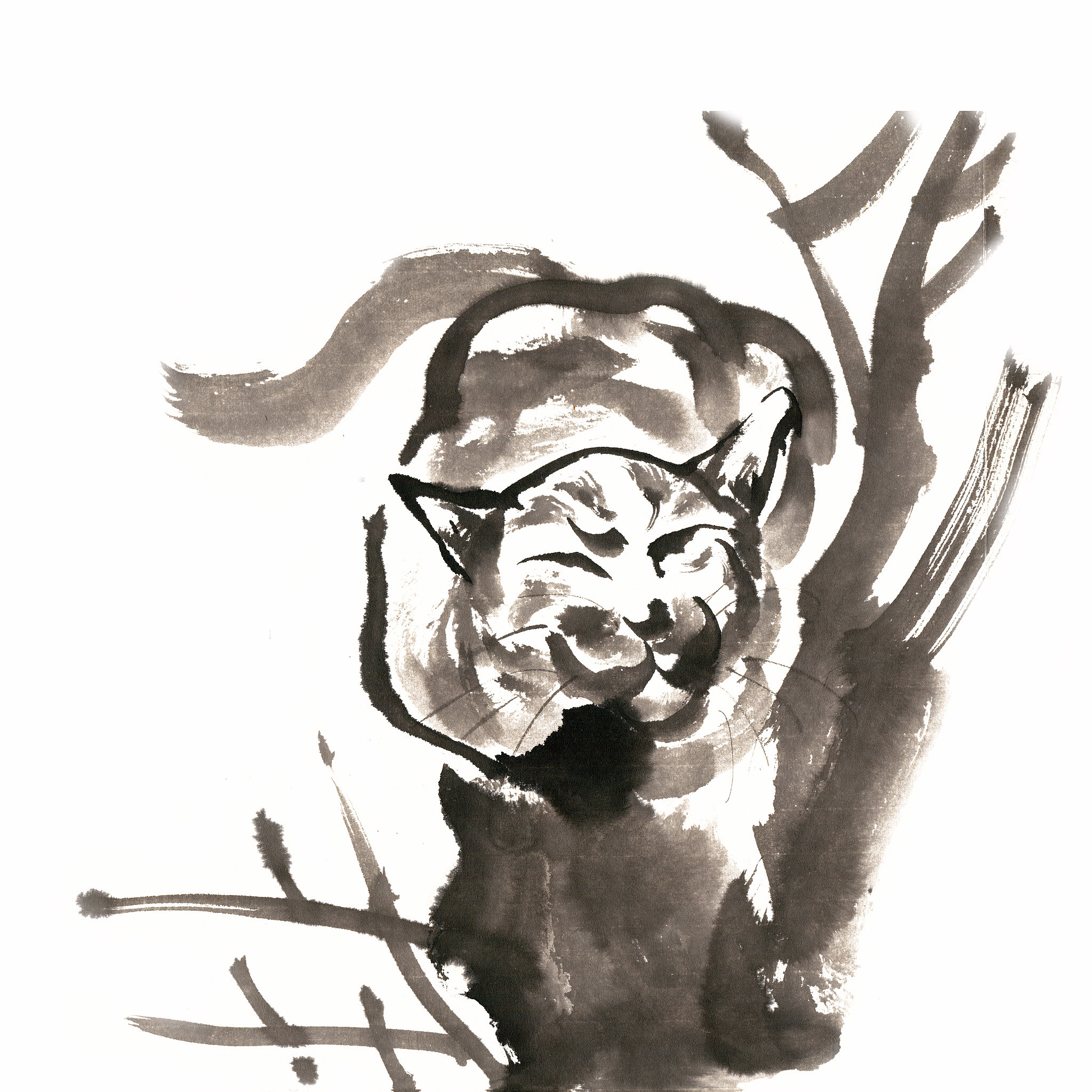 五年级漫画素描班：7个有趣课程建议