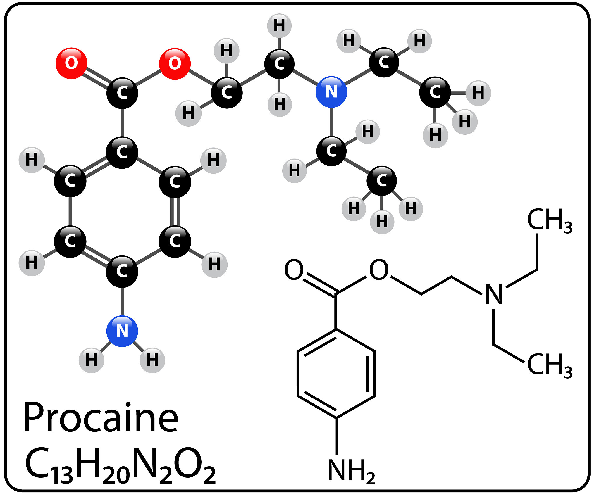 procaine molecule