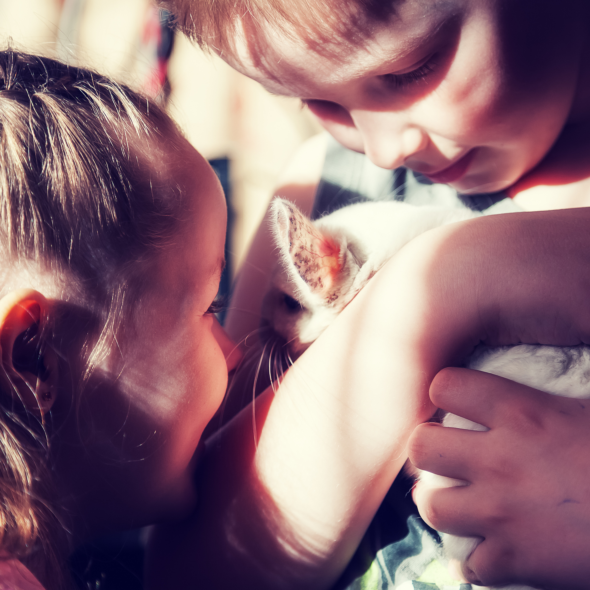 女生亲吻男生代表爱吗？亲吻的背后隐藏着什么？