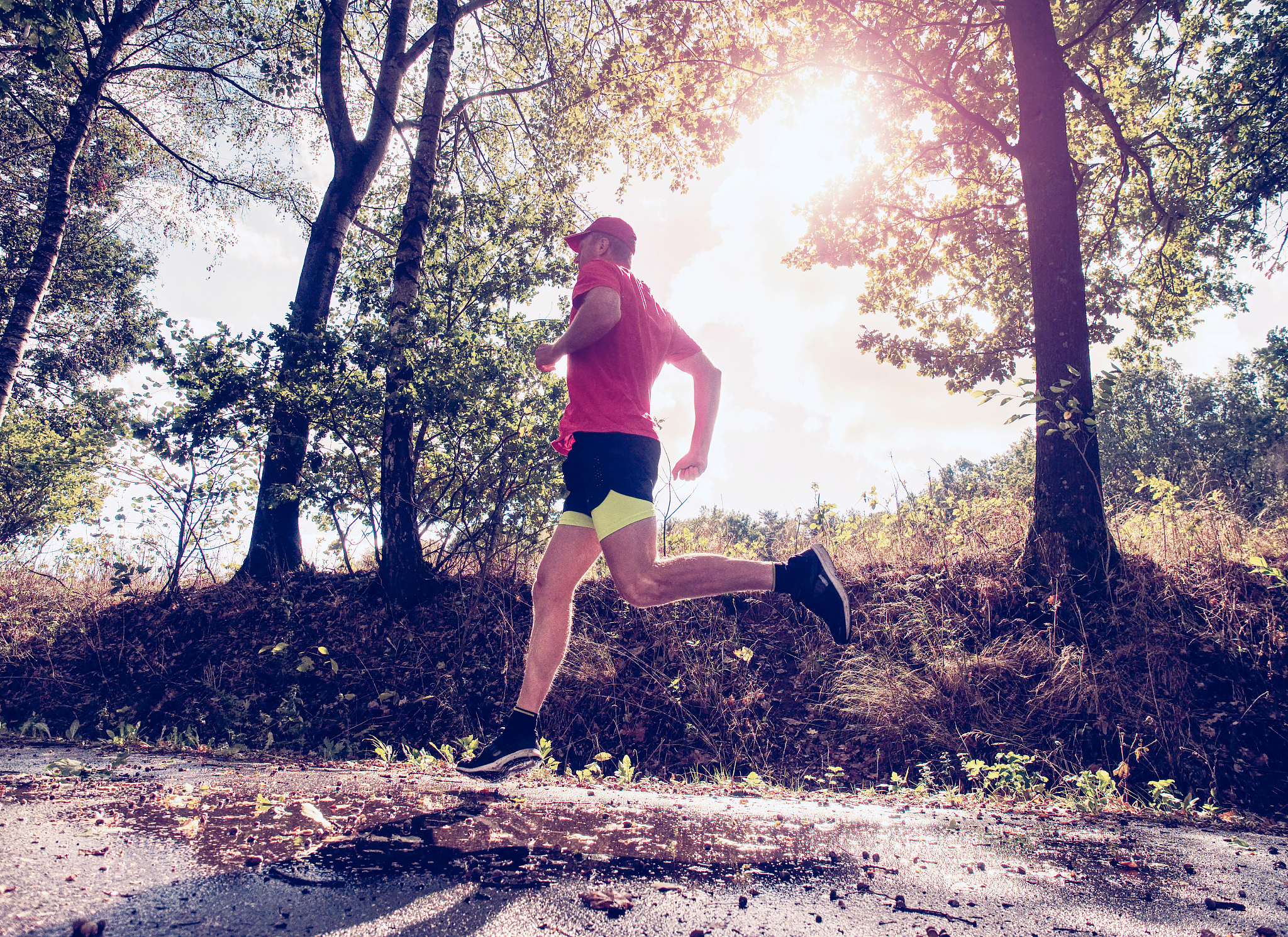 静中有动，动中有静：如何保持健康？