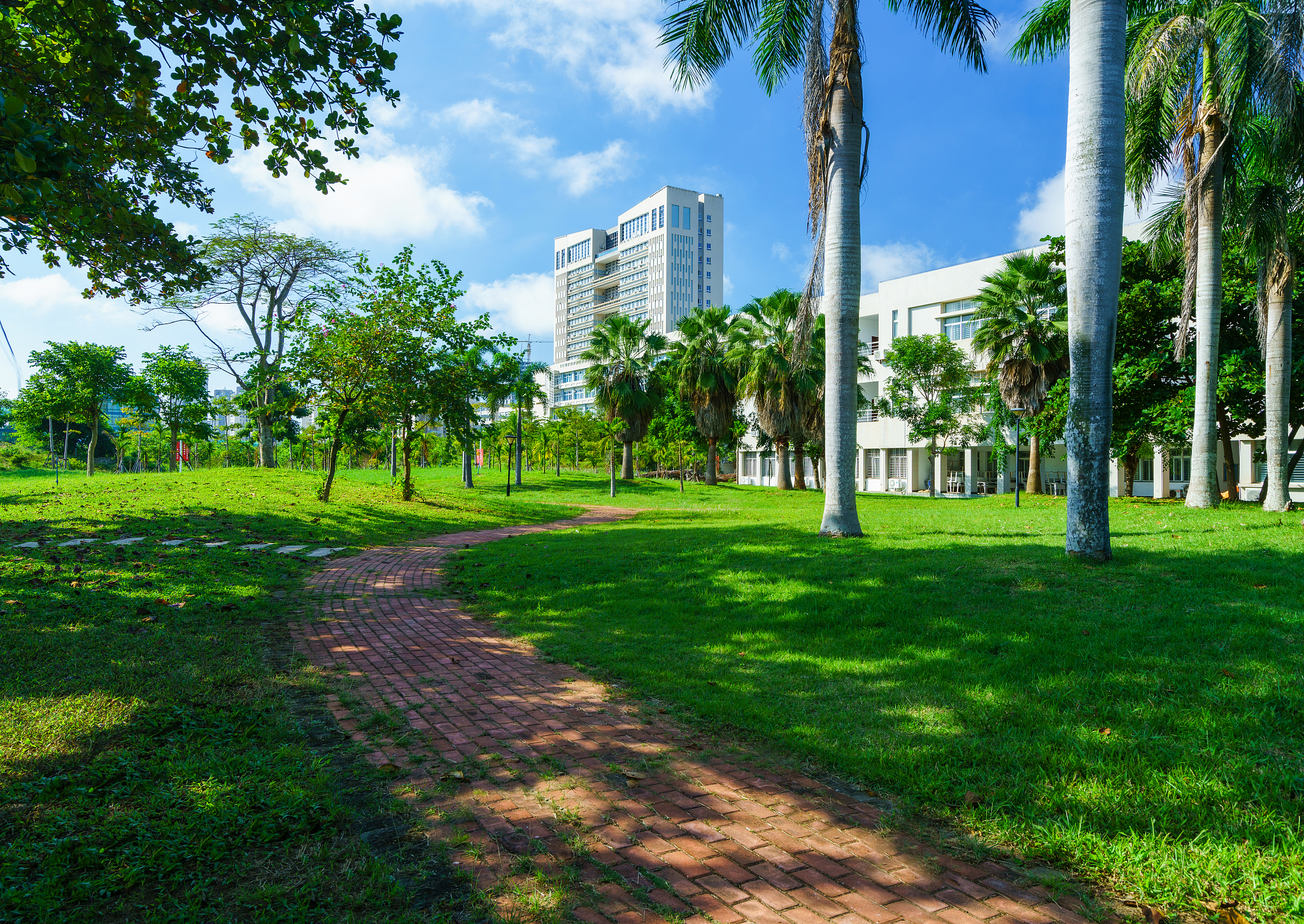 海南大学药学专业怎么样？全面解析教学质量、师资力量和就业前景