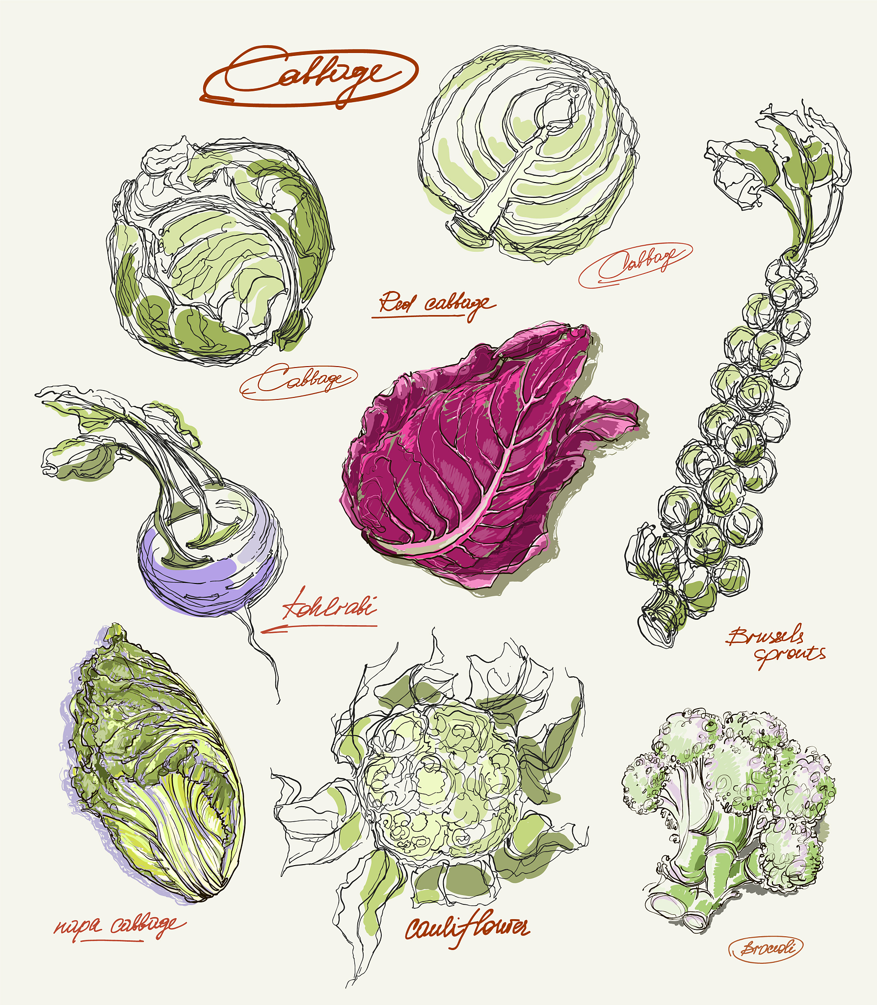 Plant-Based Meat Color Simulation Strategies
