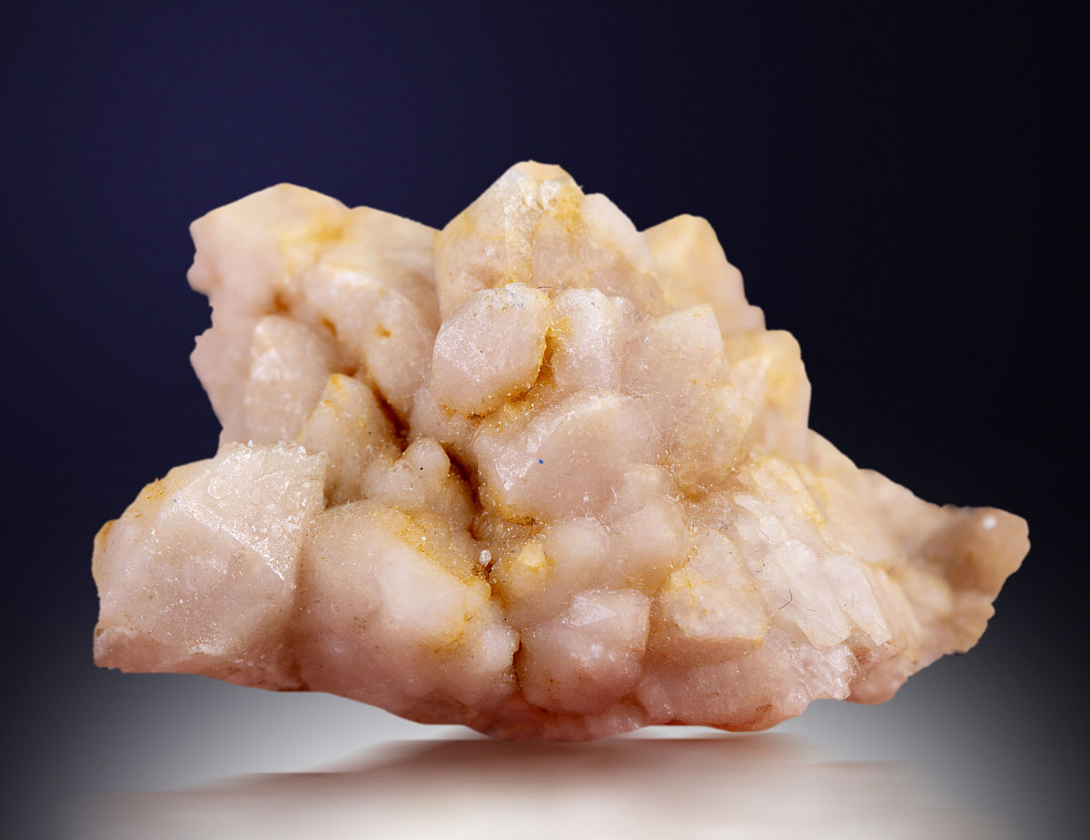 初三女生选专业指南：兴趣、优势与未来需求