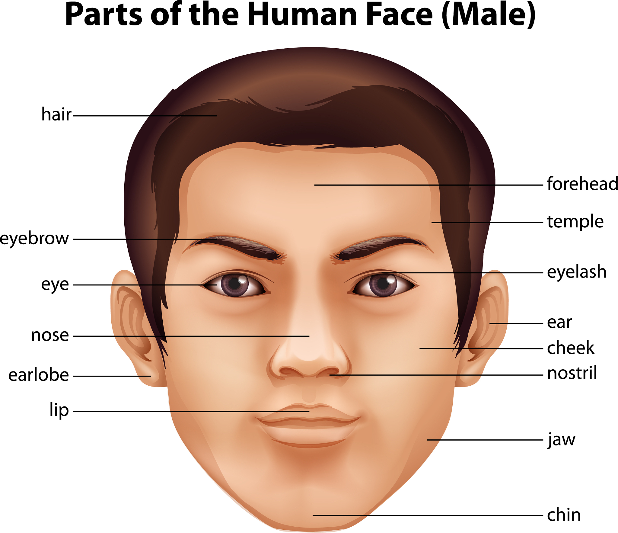 酒窝：遗传特征与魅力
