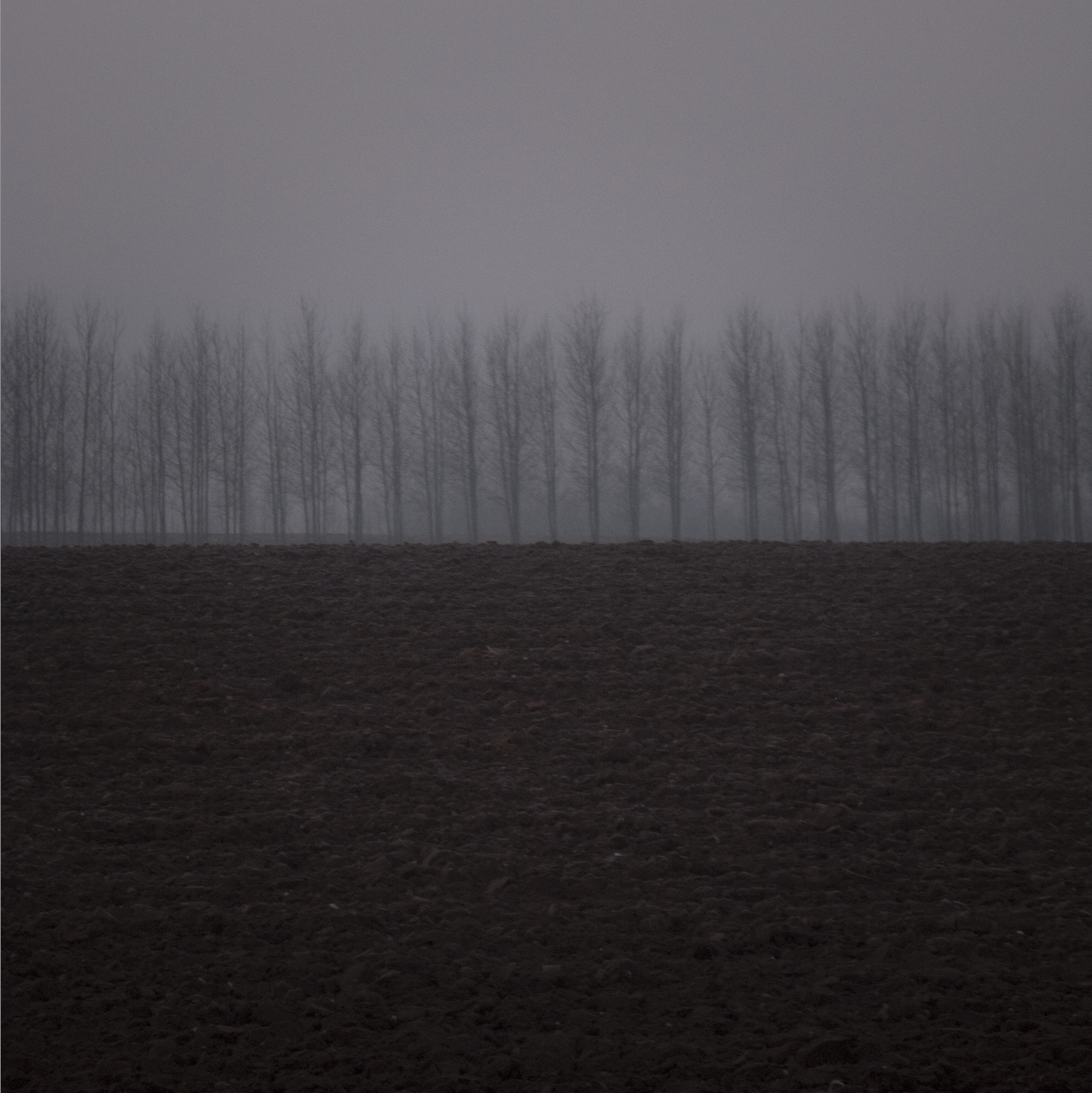 荒岛特训不显示枪声位置回答及拓展