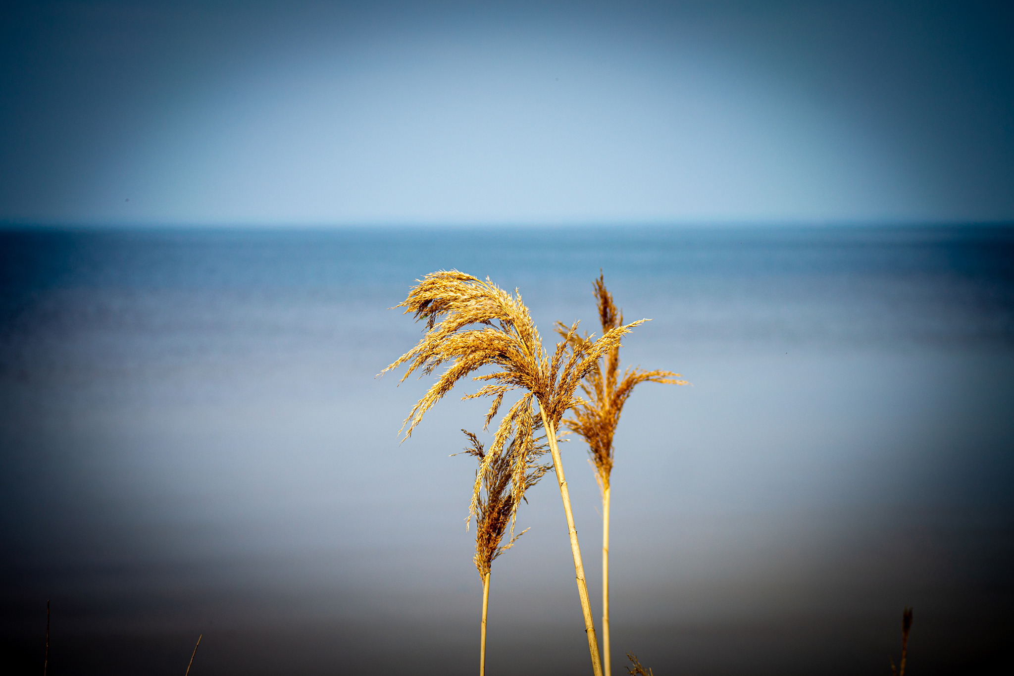 spring面试题及答案