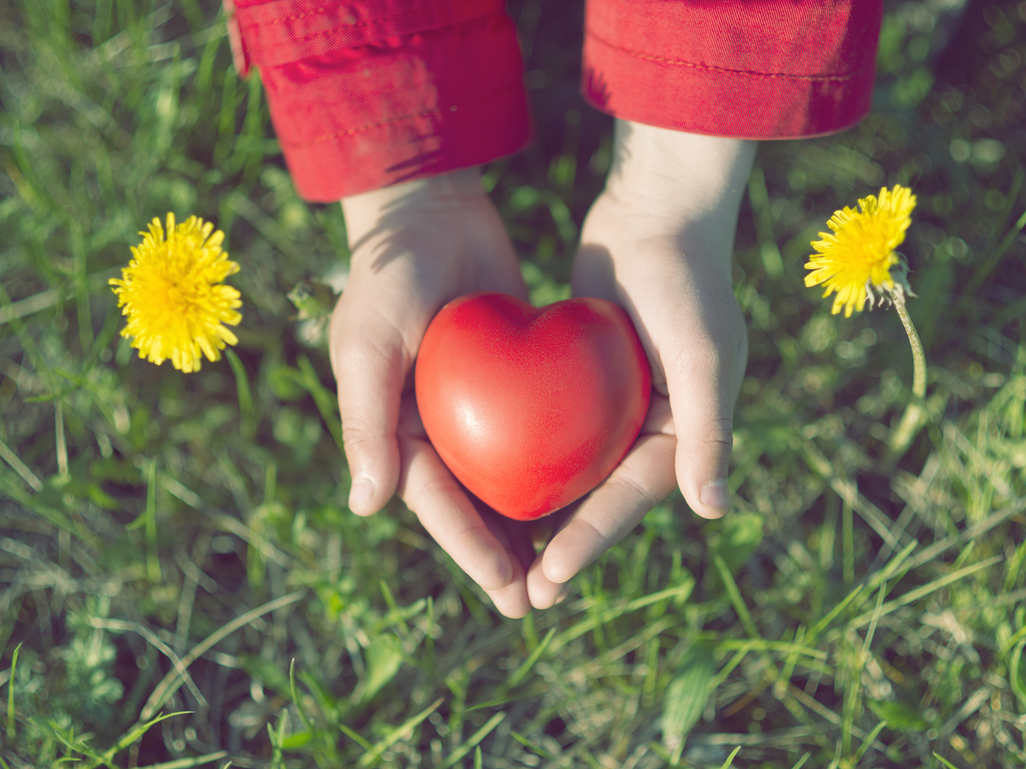 感化心灵：用爱与善意点亮世界