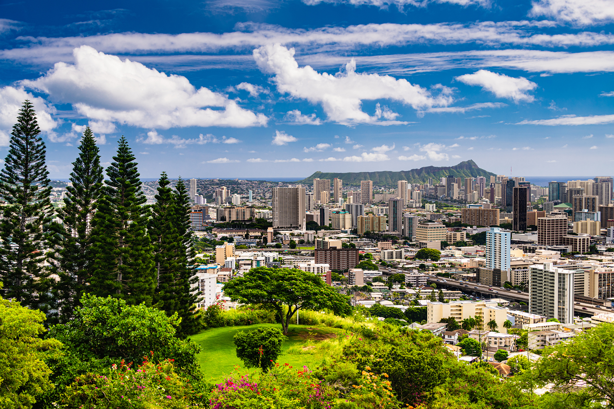 view from punchbowl