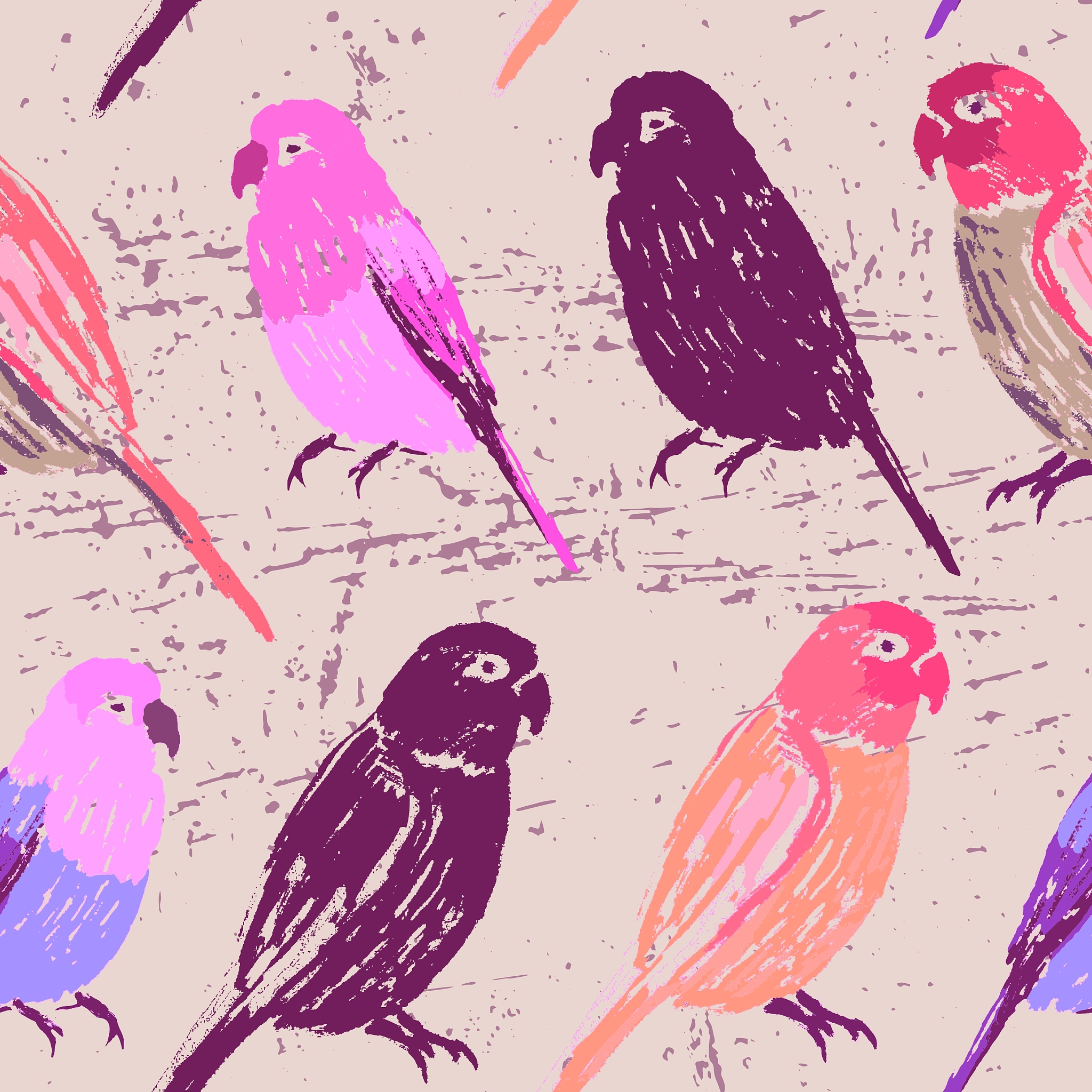 鹦鹉记忆能力：如何帮助鹦鹉记住信息