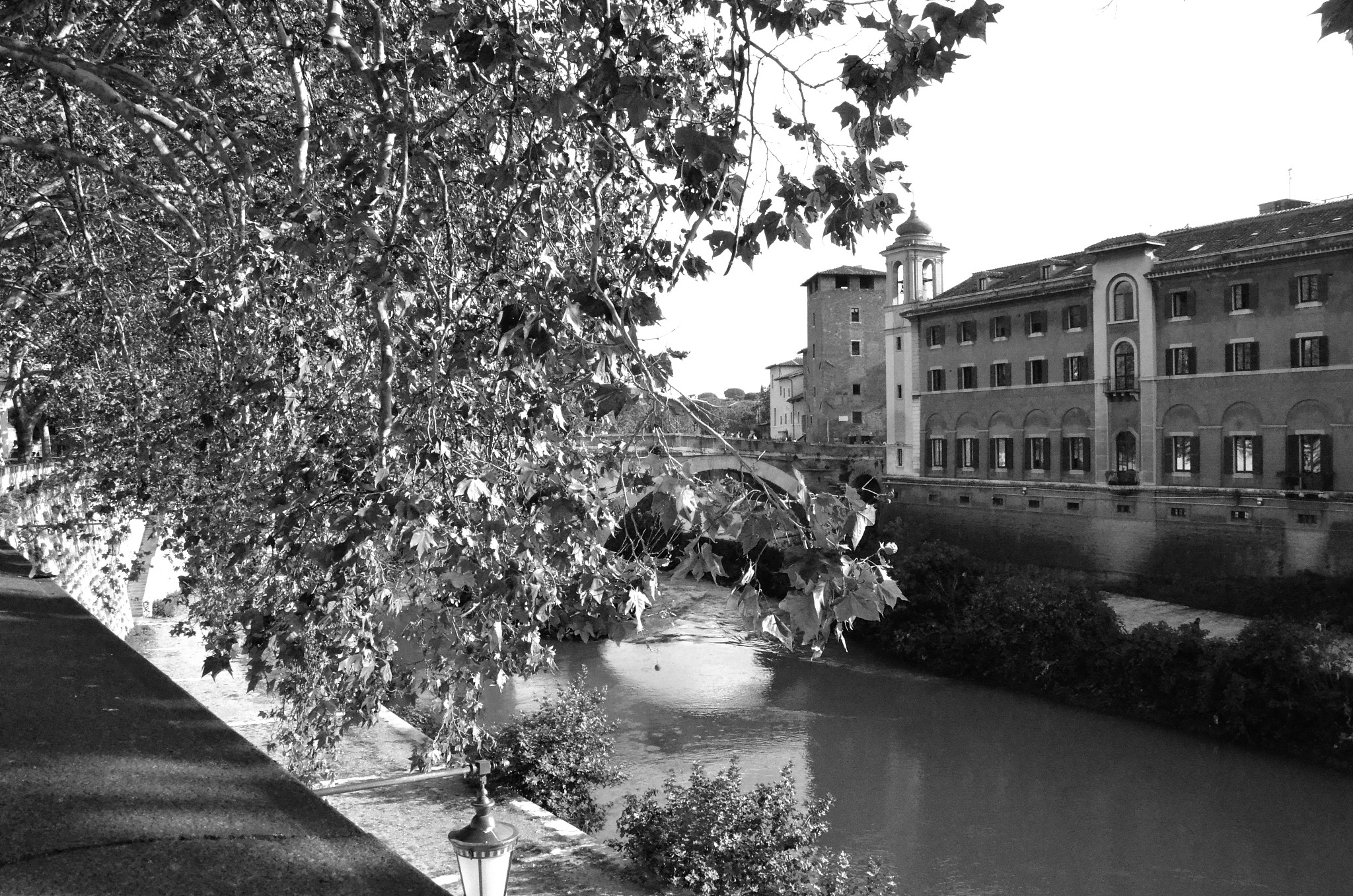 广州黄埔区南岗省电力一局拆迁范围查询及相关信息