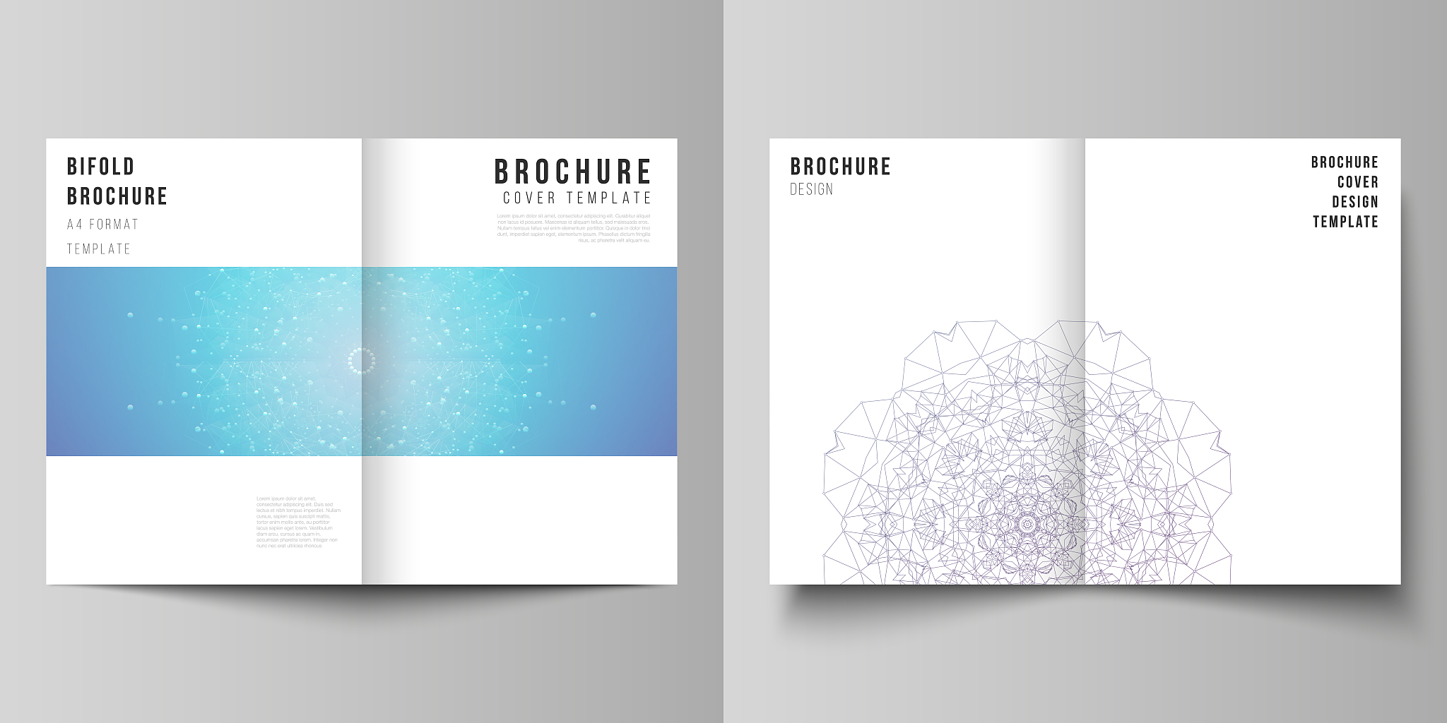 vector layout of two a4 format modern cover mockups design templ