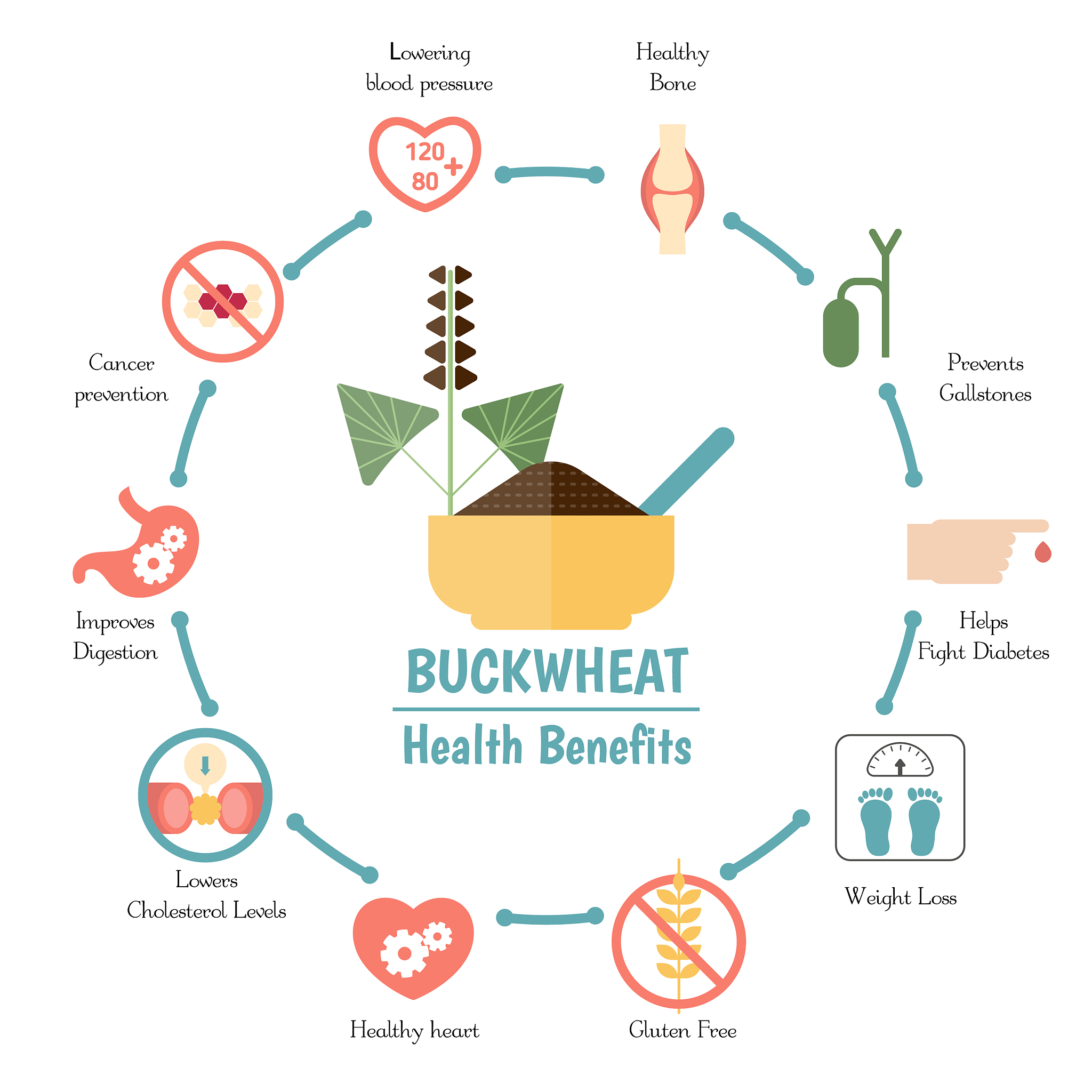 请将这些关键点扩写成一段话1新陈代谢、生物氧化的含义、作用2活性氧如何产生、危害3生物体清除活性氧的机制4丙二醛MDA指示细胞氧化损伤程度的作用、机理