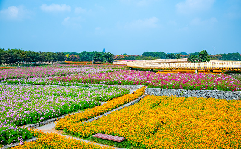 江苏省宿迁卫生中等专业学校2023年招生简章-报名条件-招生专业
