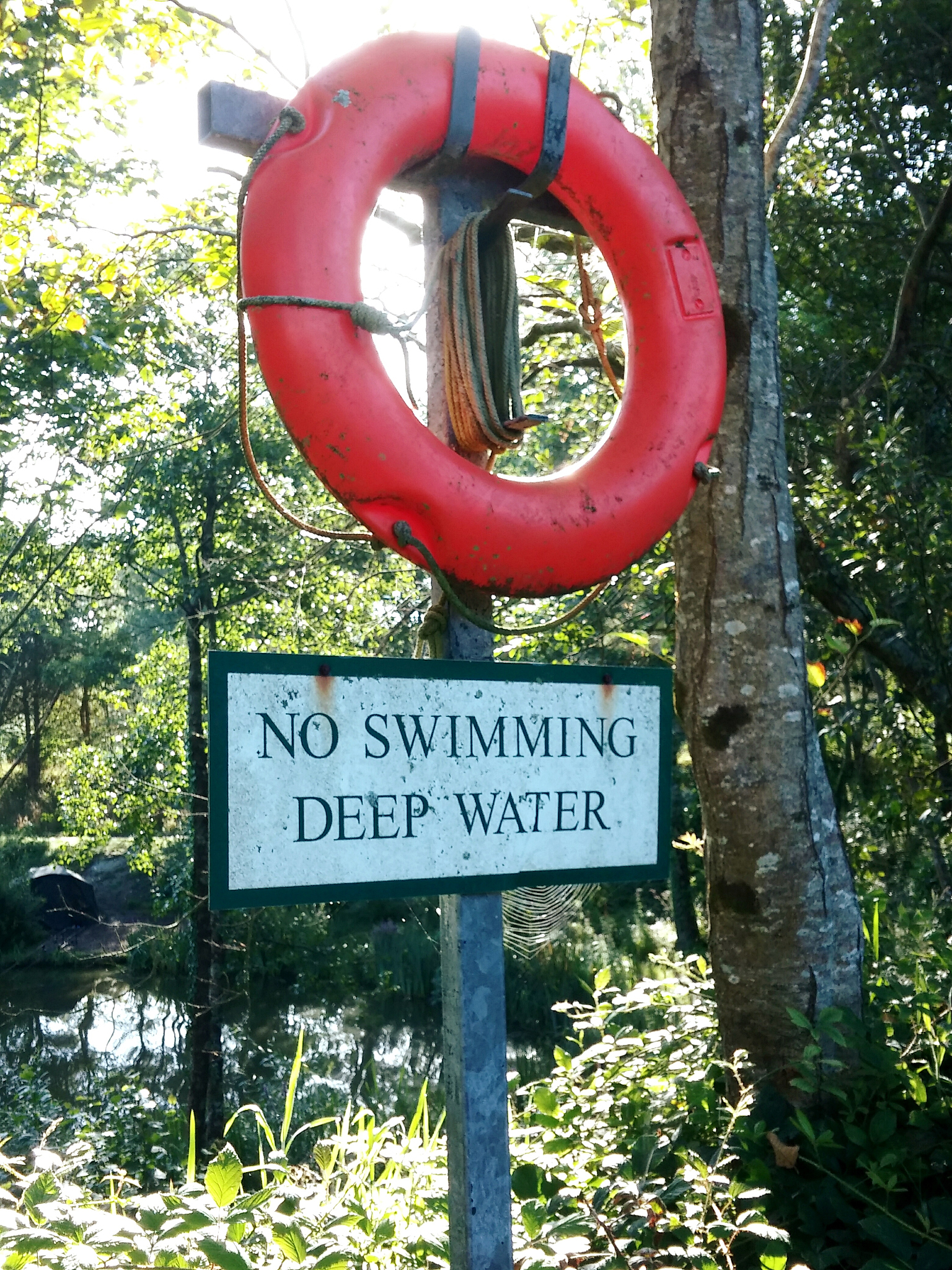 今日天气晴朗，25-36度，中小学生安全提示