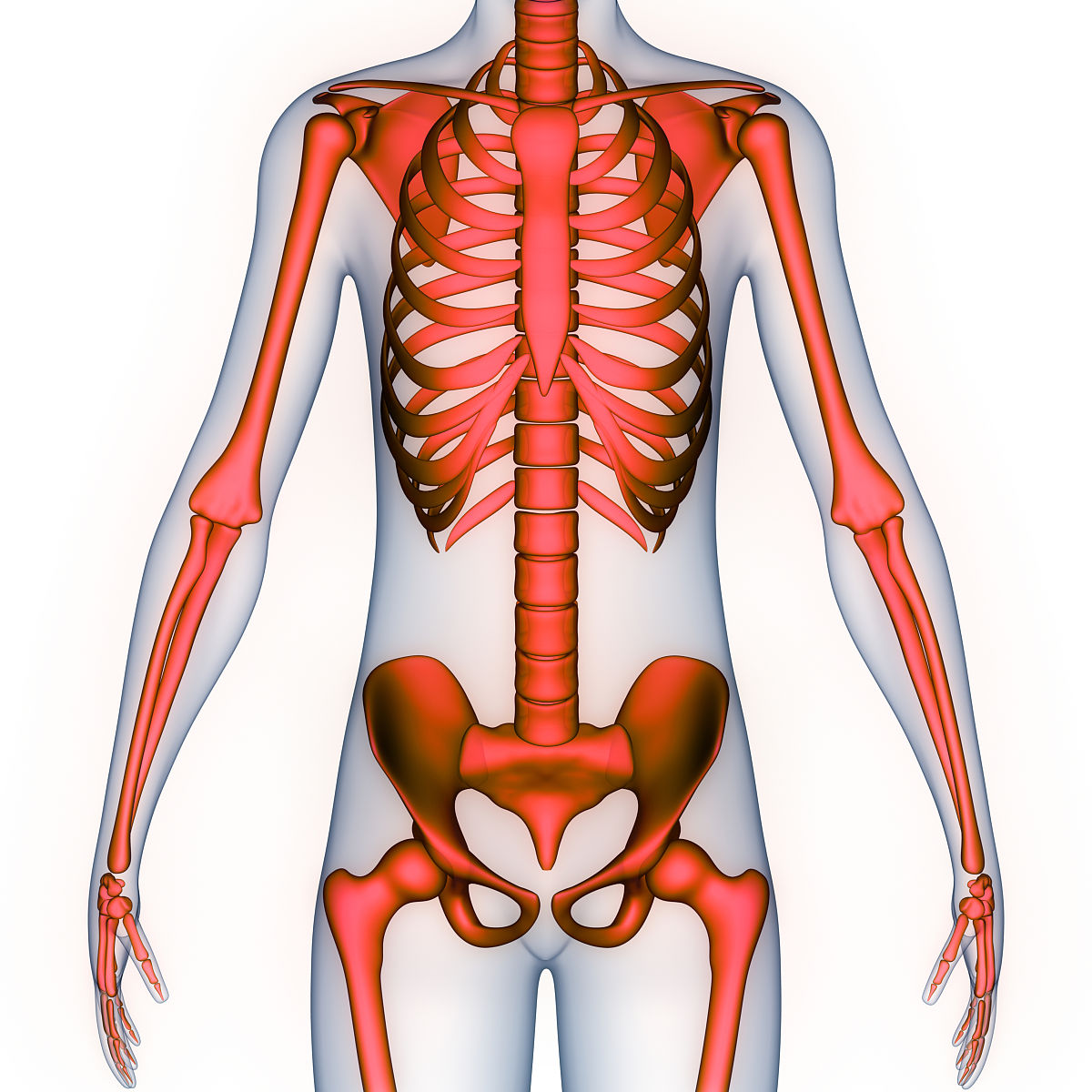 基于深度学习的击剑动作识别系统设计