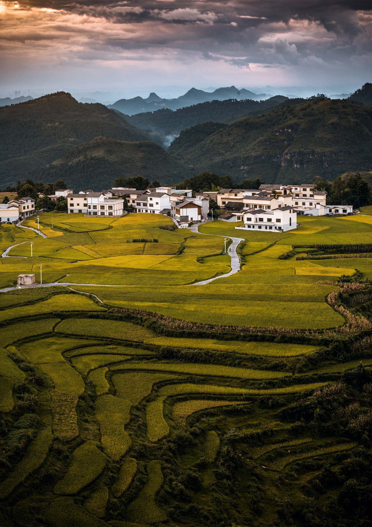 贵州农业职业学院休闲农业经营与管理专业就业方向