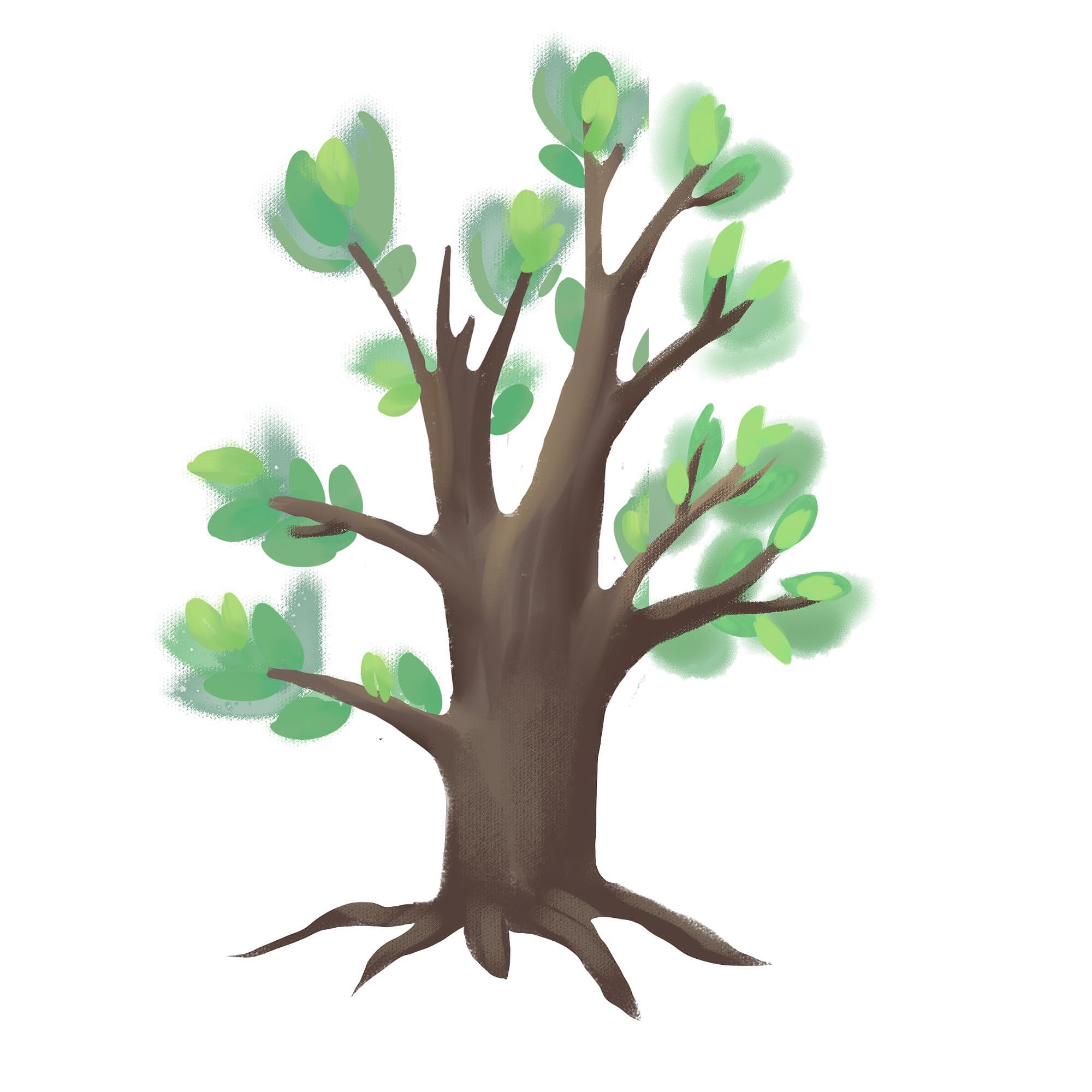 变成树的烦恼：那些你不知道的生长秘密