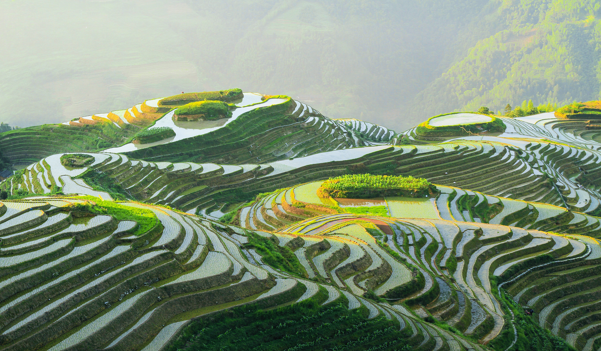 崇左市有哪些特色？崇左市的旅游景点有哪些？崇左市未来发展怎么样？